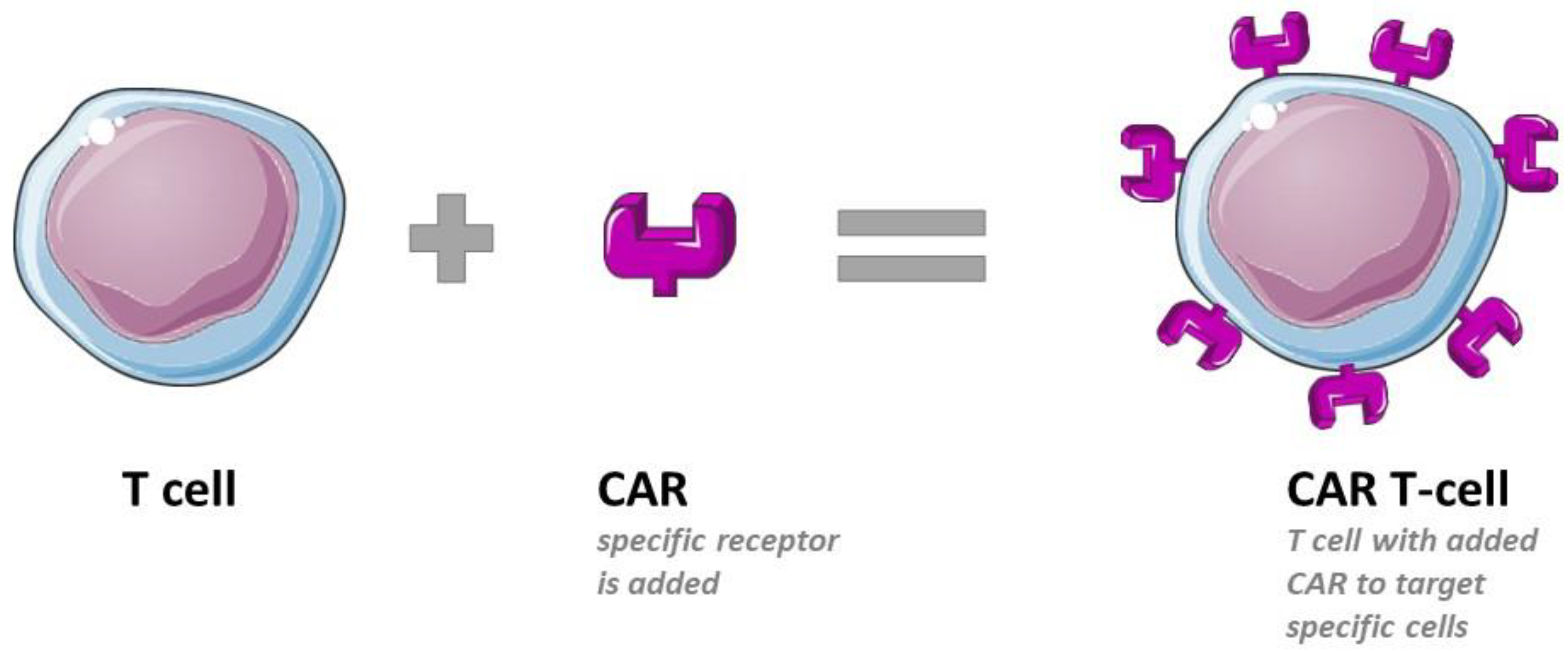 Pharmaceutics 16 00461 g002 Pharmaceutics 16 00461 g002