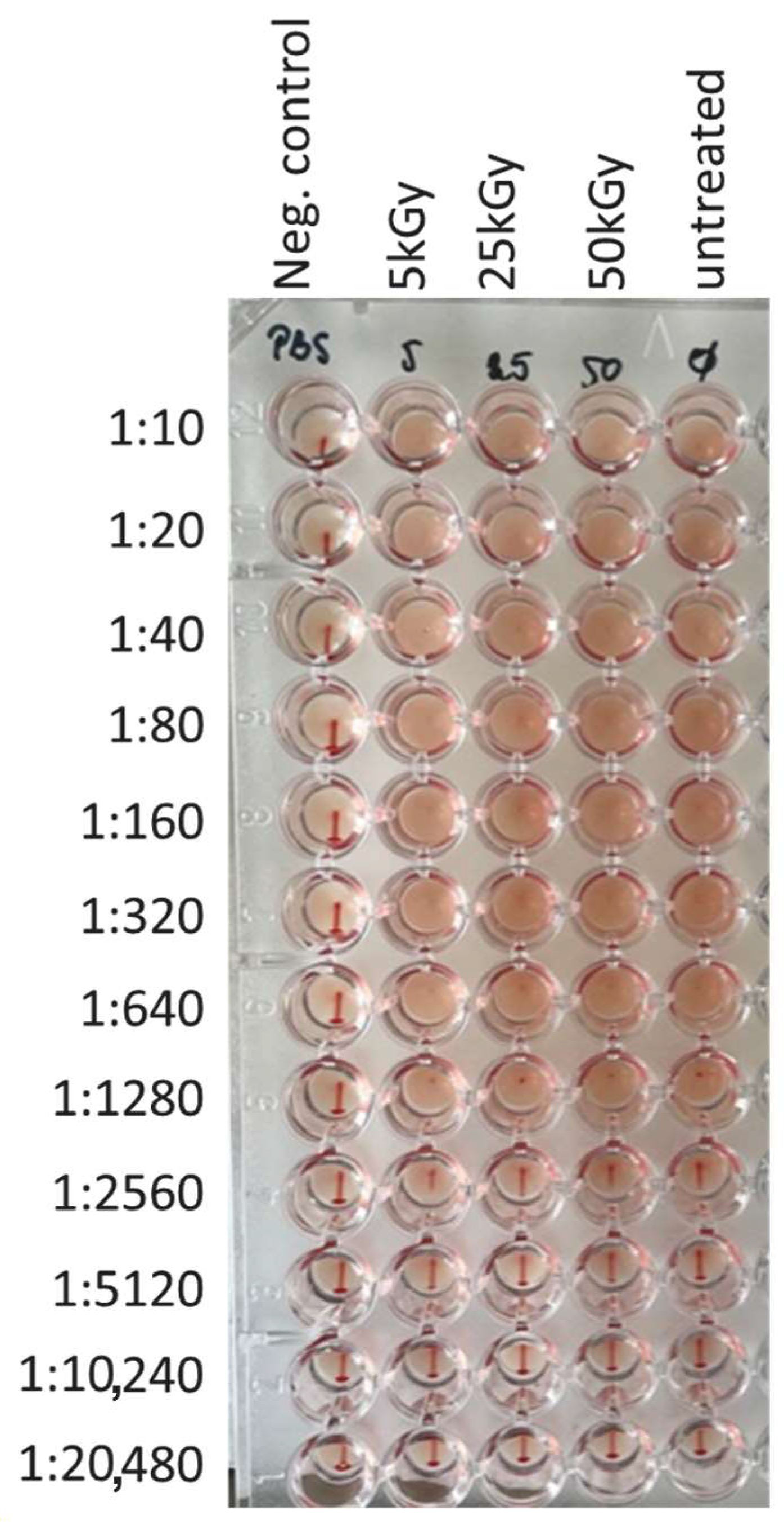Pharmaceutics 16 00465 g004