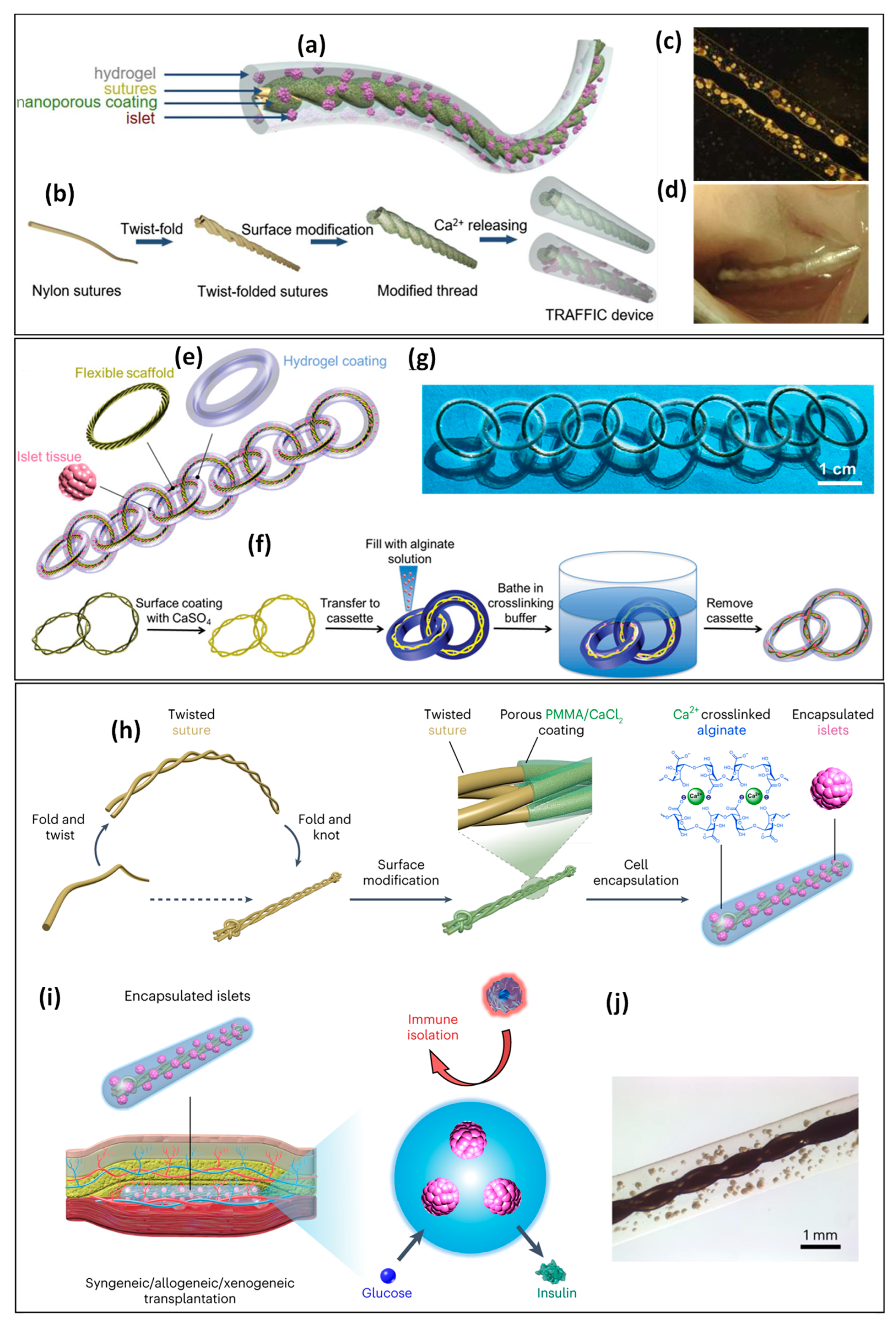 Pharmaceutics 16 00469 g002