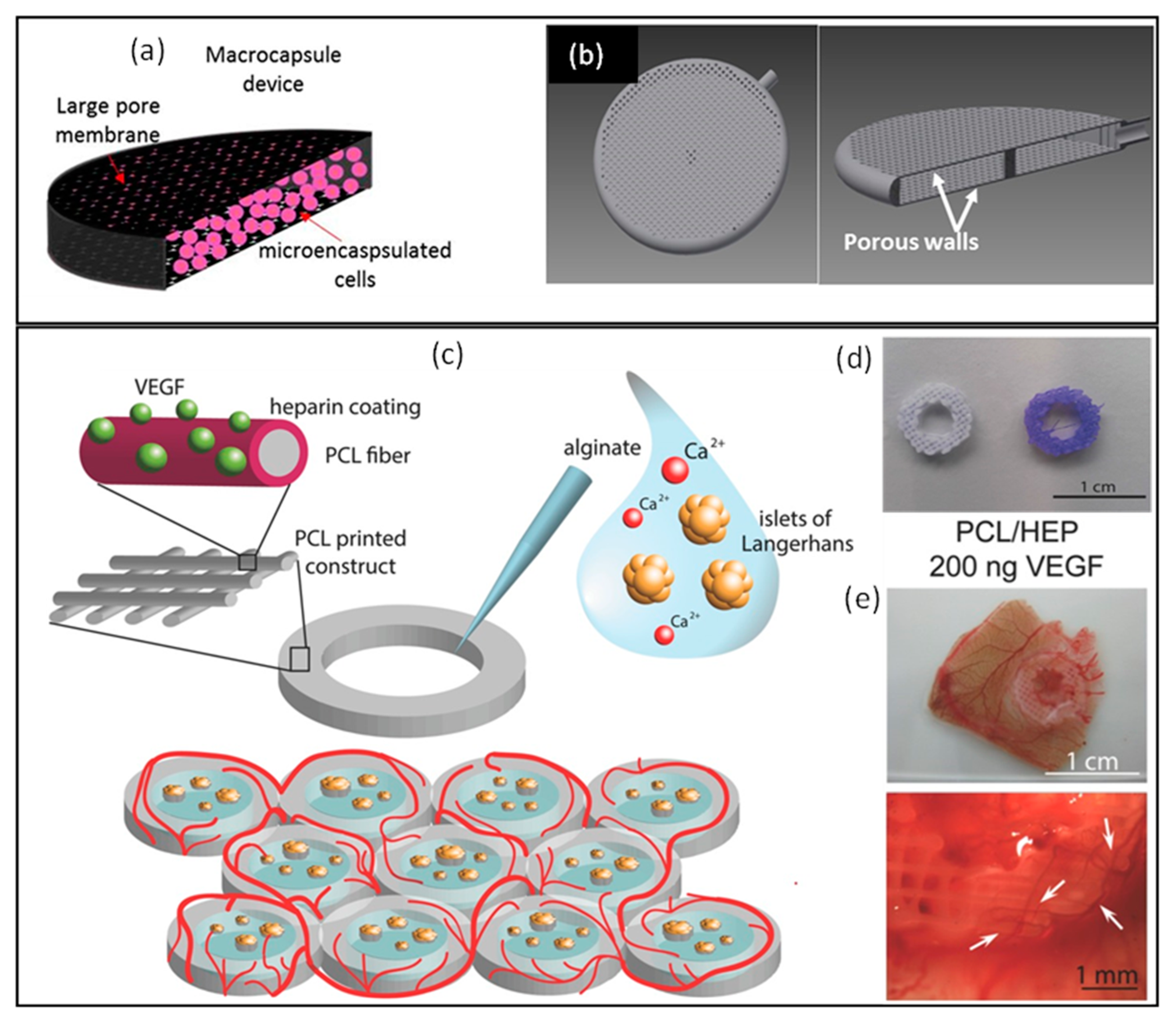 Pharmaceutics 16 00469 g003