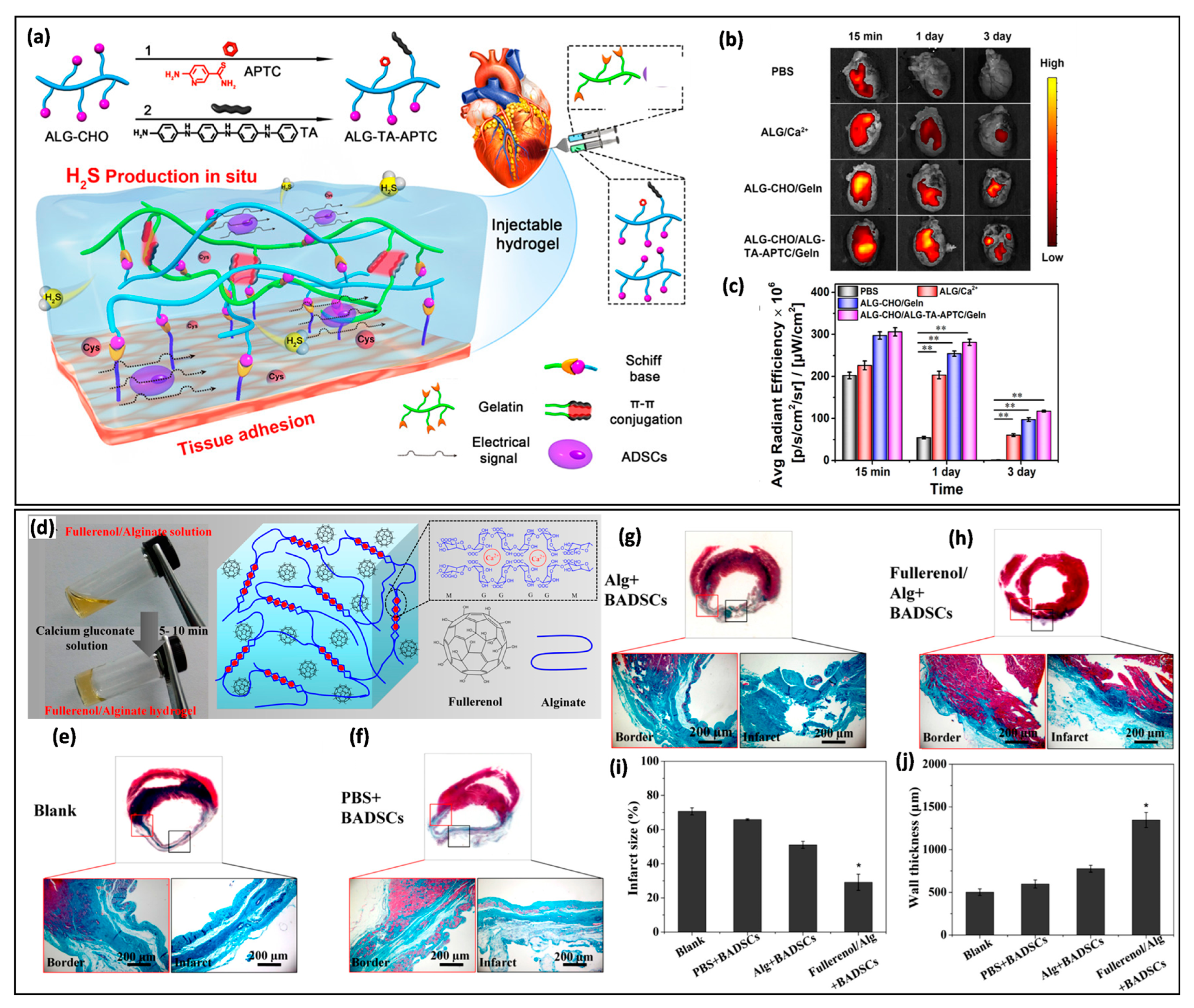 Pharmaceutics 16 00469 g005