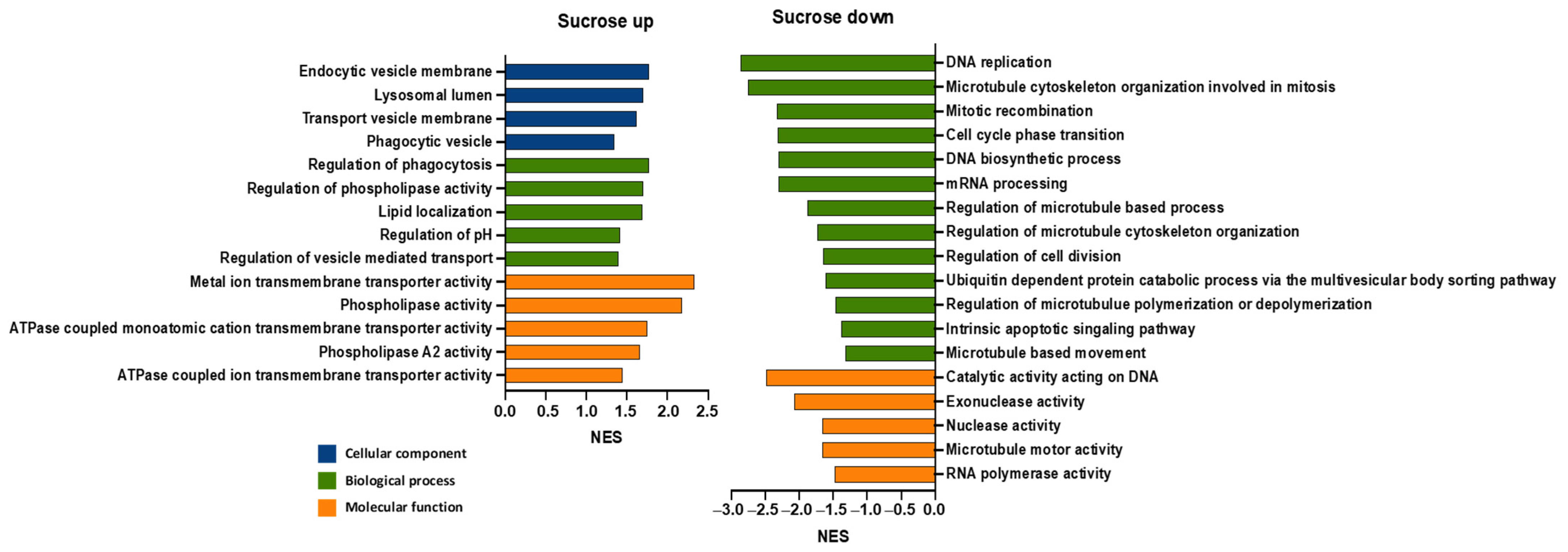 Pharmaceutics 16 00475 g002