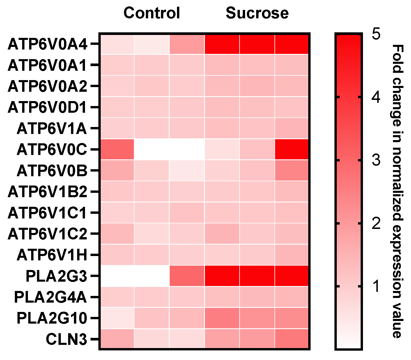 Pharmaceutics 16 00475 g003