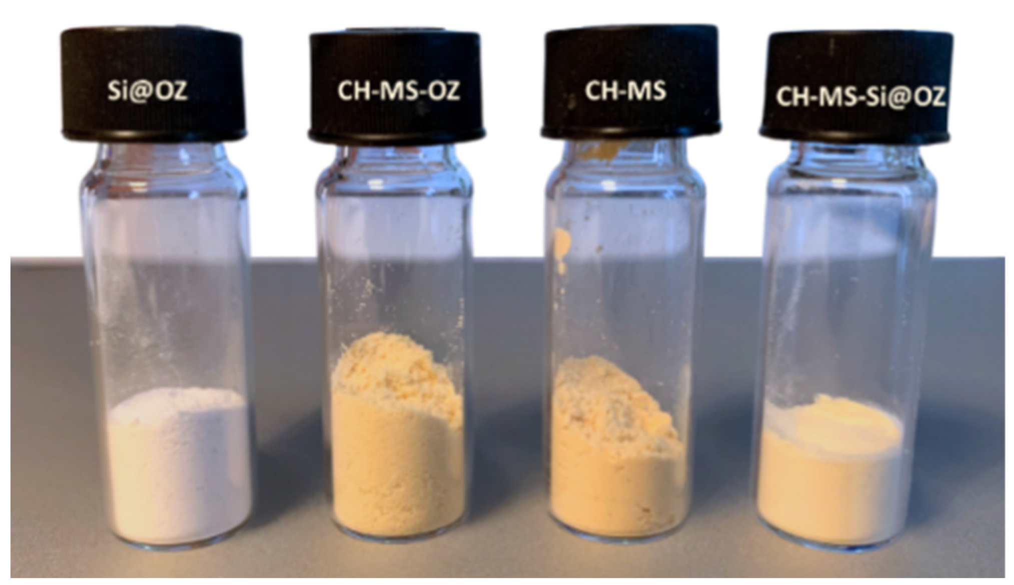 Pharmaceutics 16 00502 g001