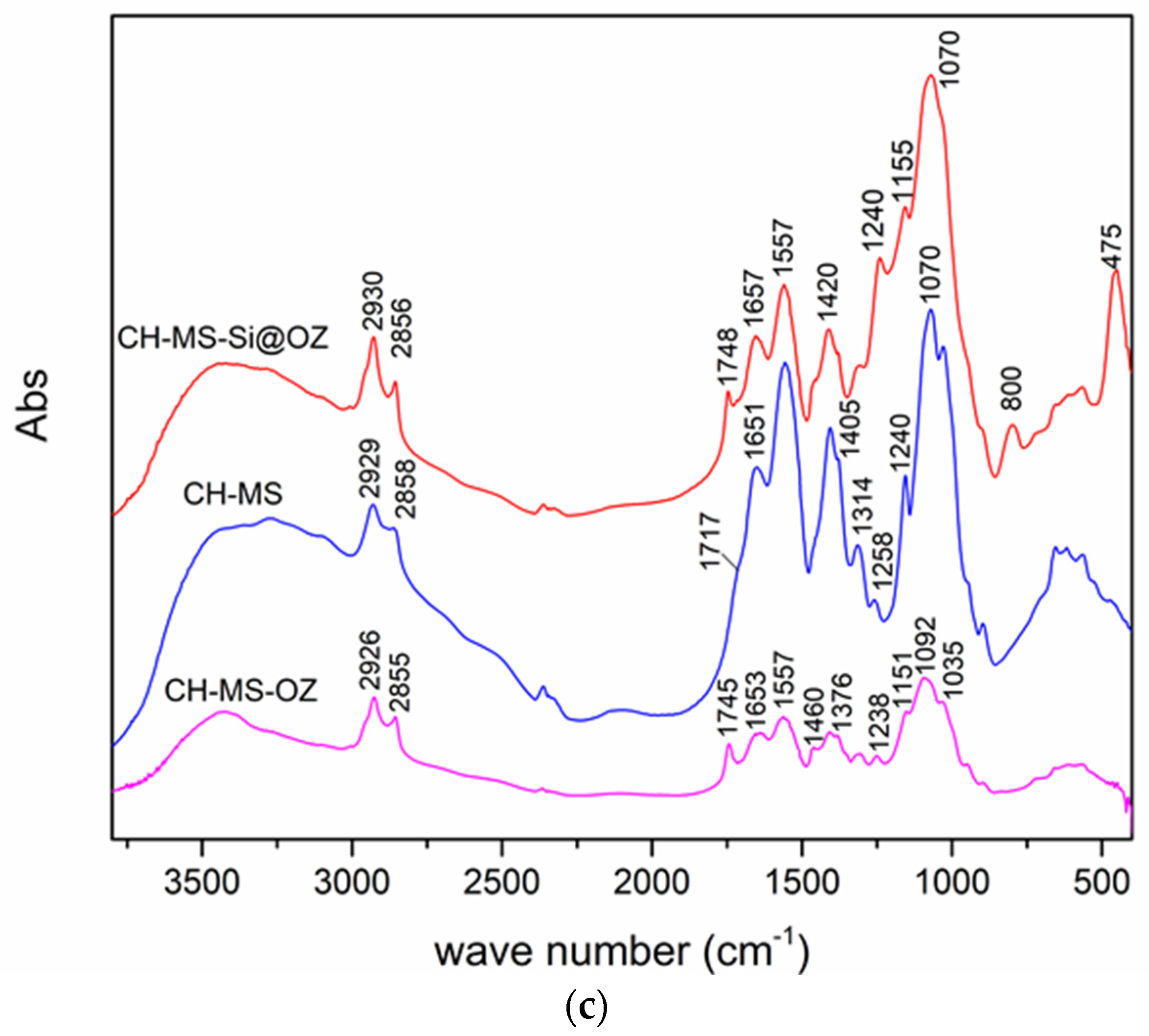 Pharmaceutics 16 00502 g002b