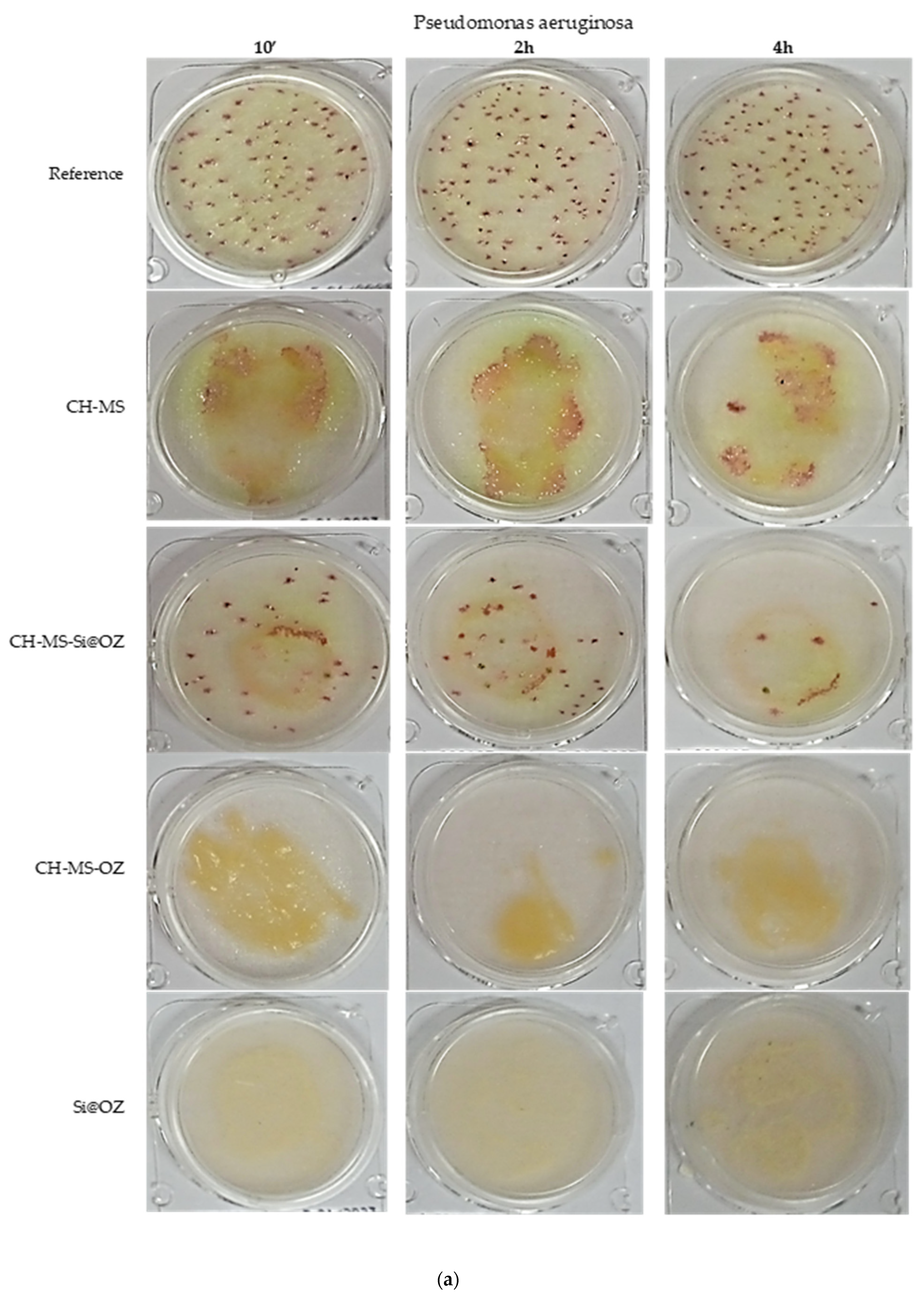 Pharmaceutics 16 00502 g009a