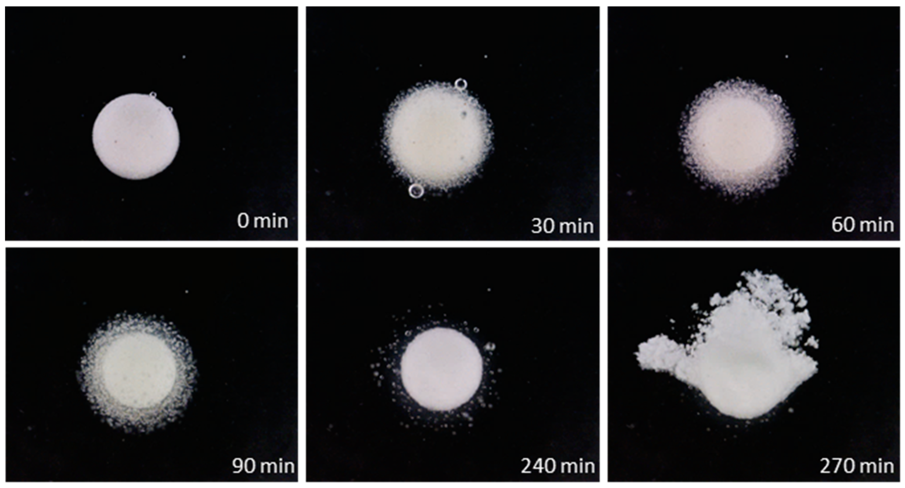 Pharmaceutics 16 00508 g008