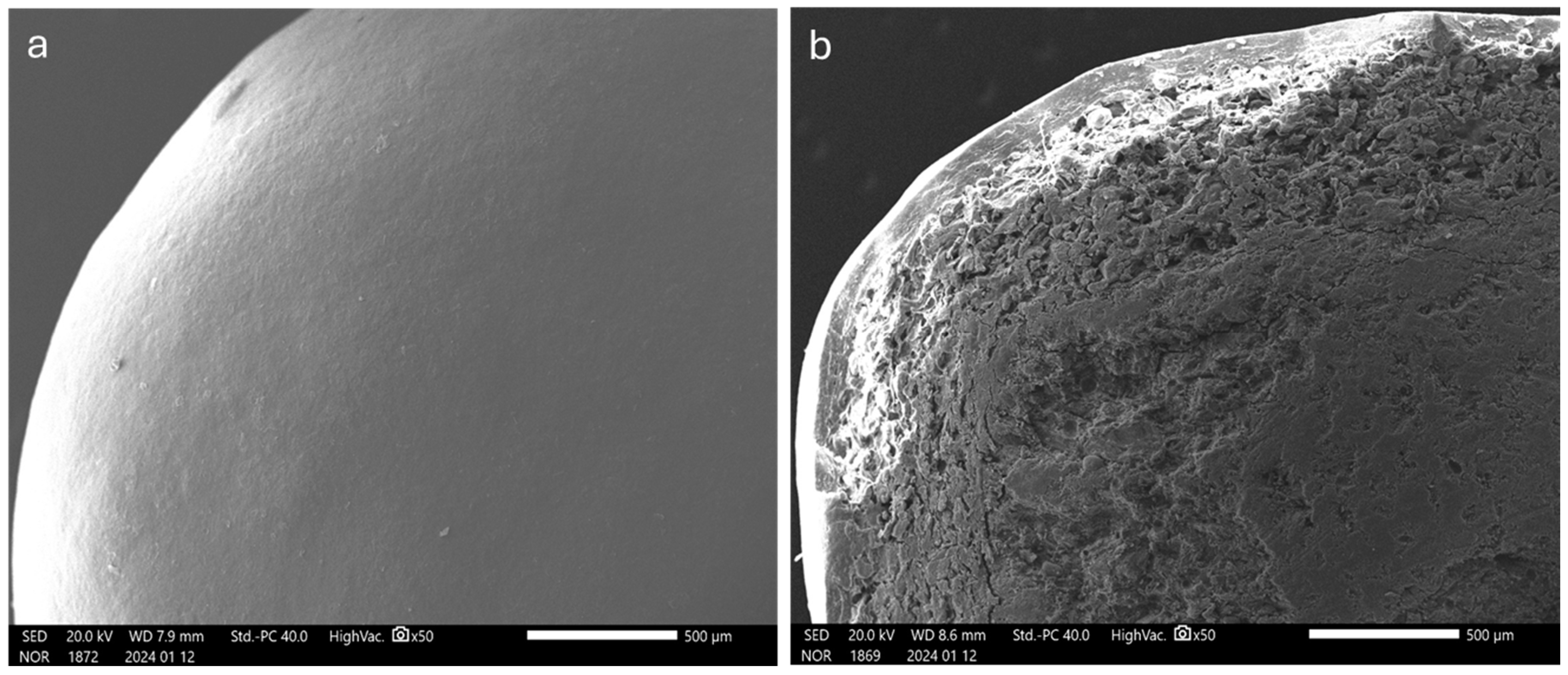 Pharmaceutics 16 00508 g011