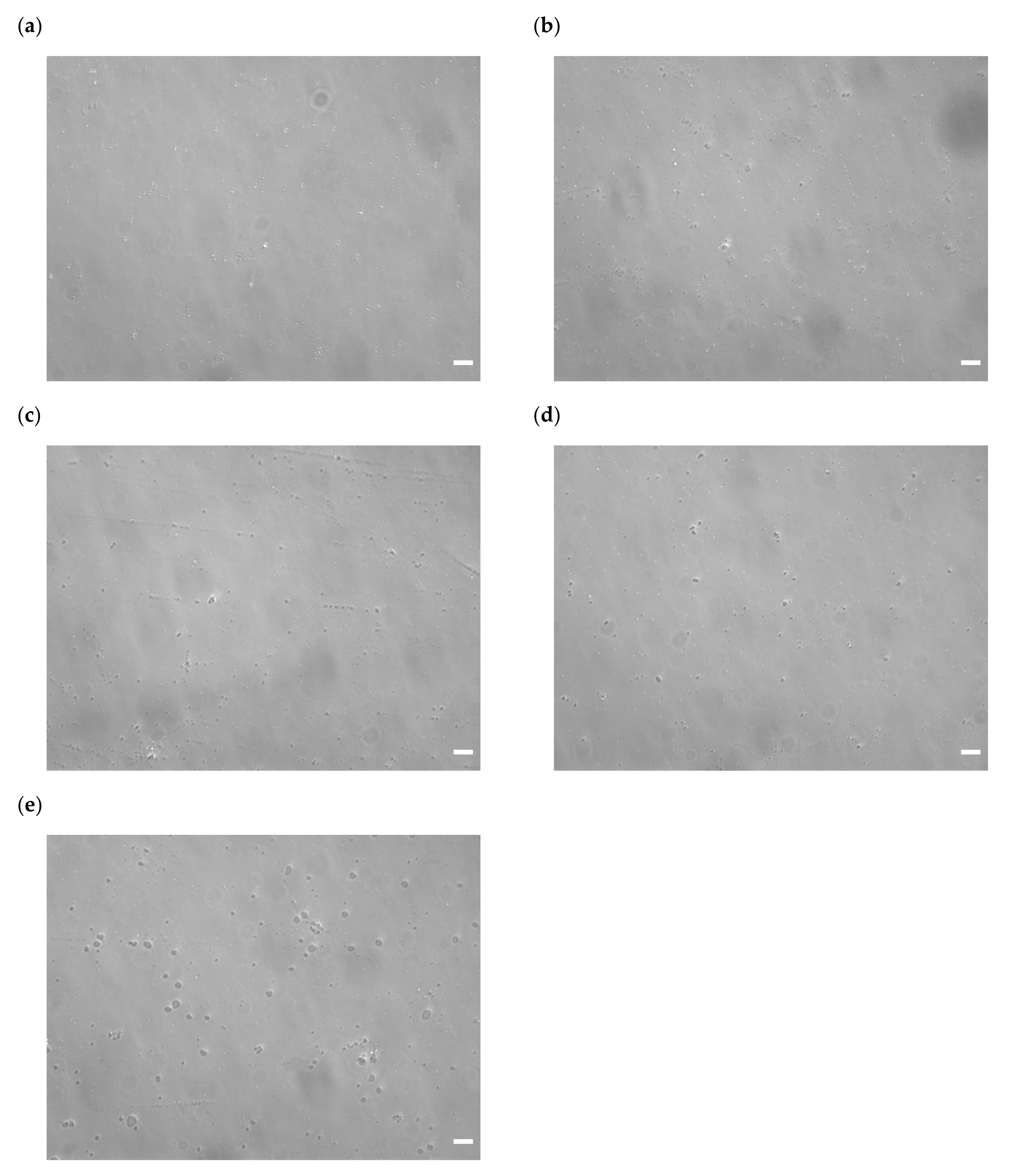Pharmaceutics 16 00522 g007