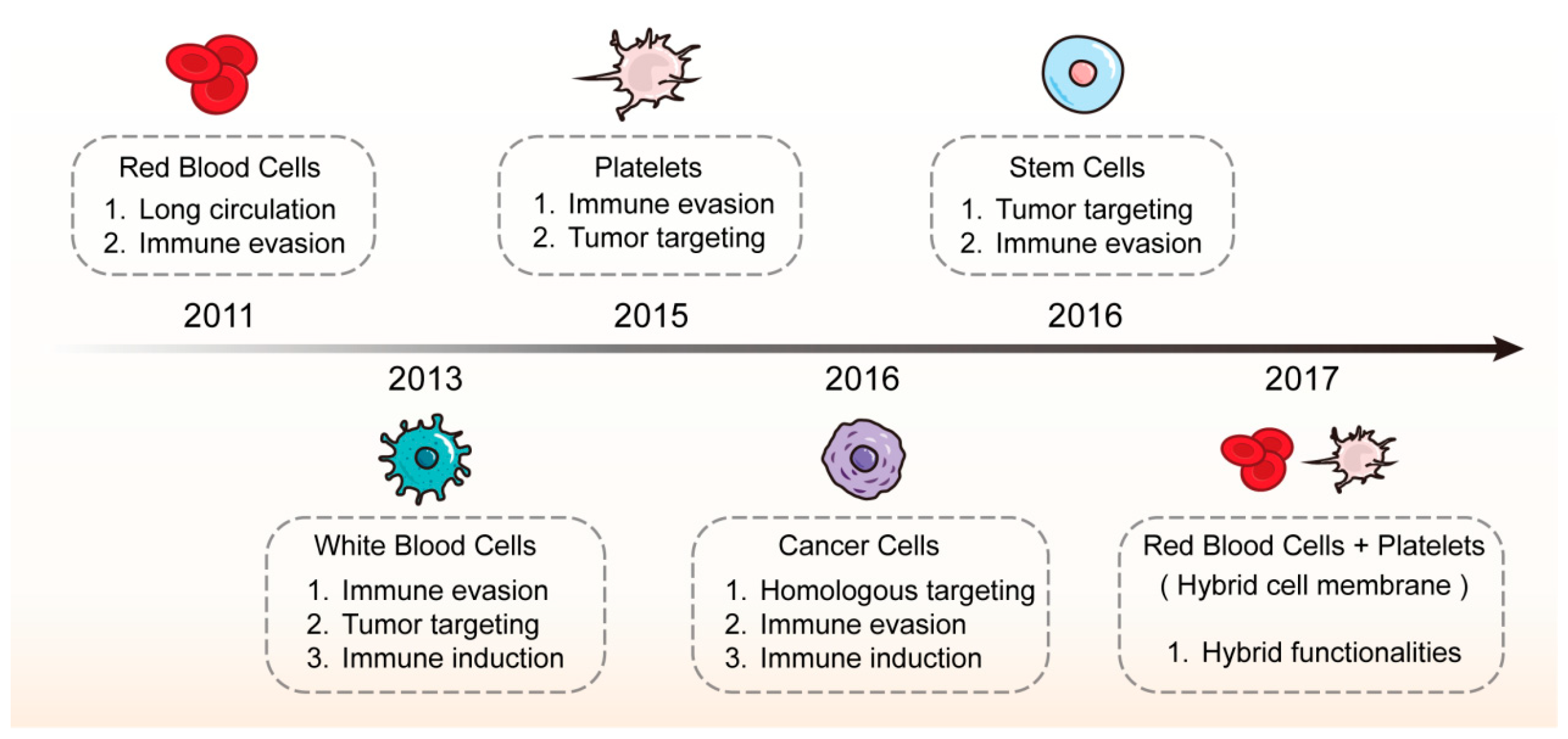 Pharmaceutics 16 00531 g001