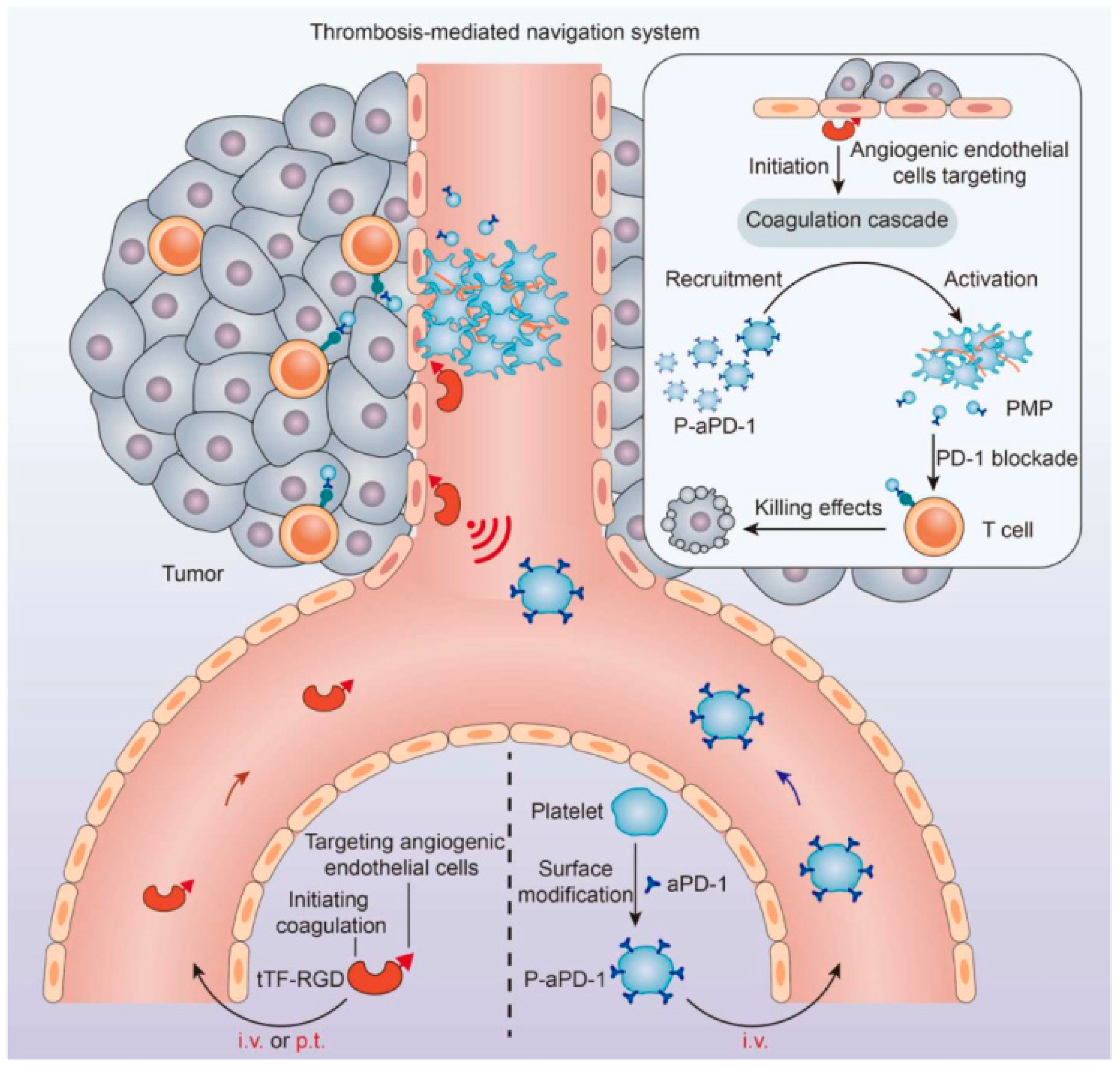Pharmaceutics 16 00531 g004