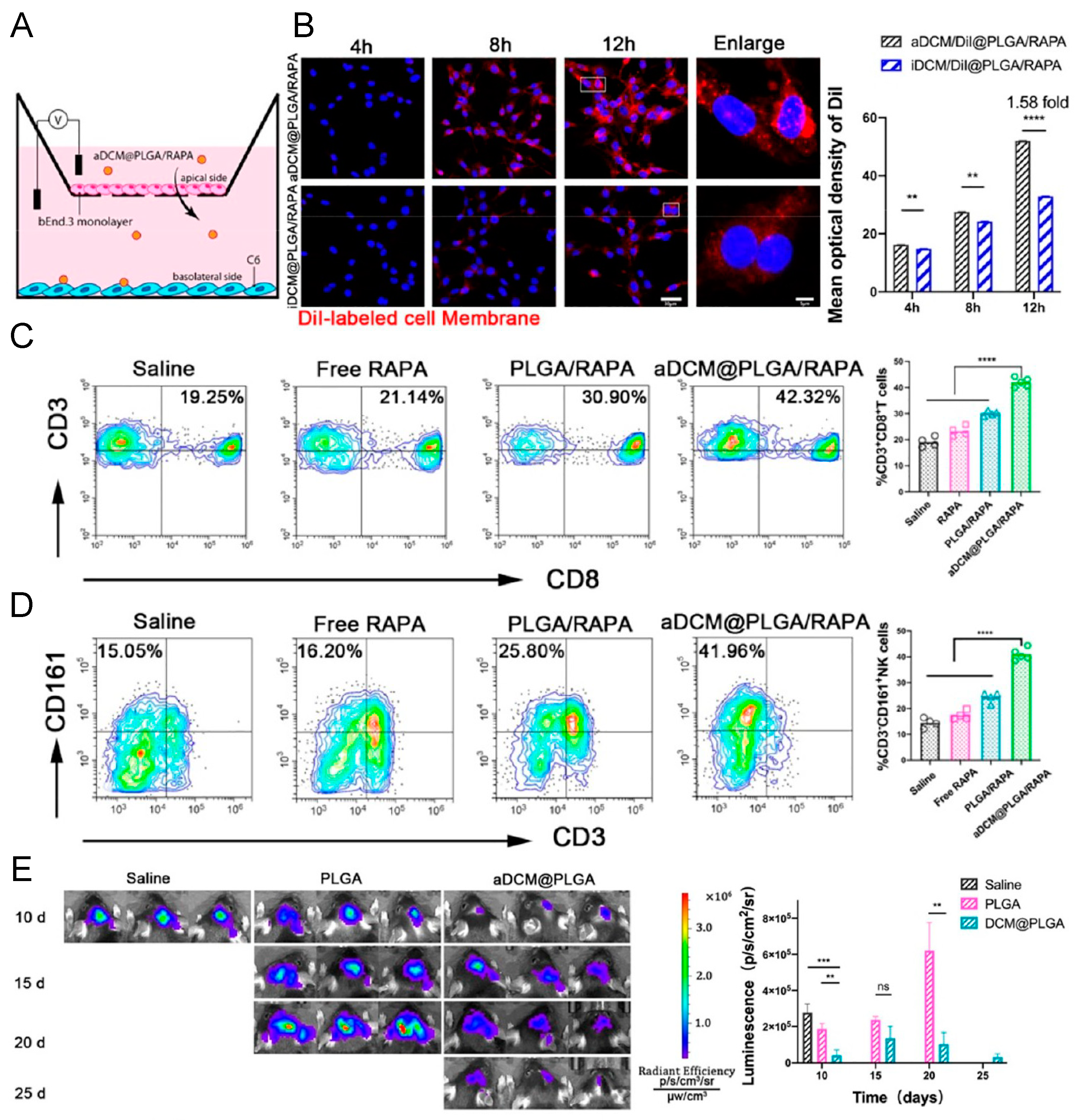 Pharmaceutics 16 00531 g011