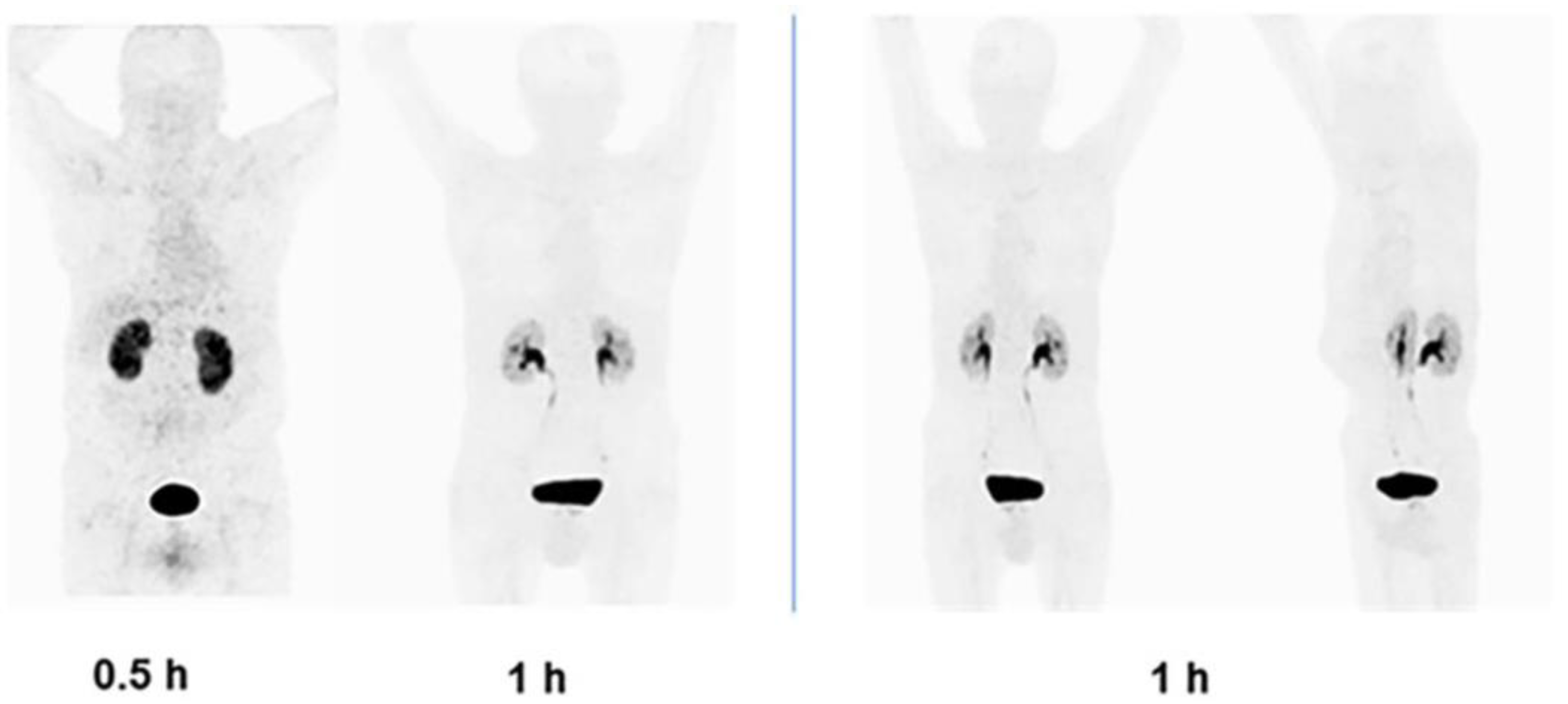 Pharmaceutics 16 00532 g010