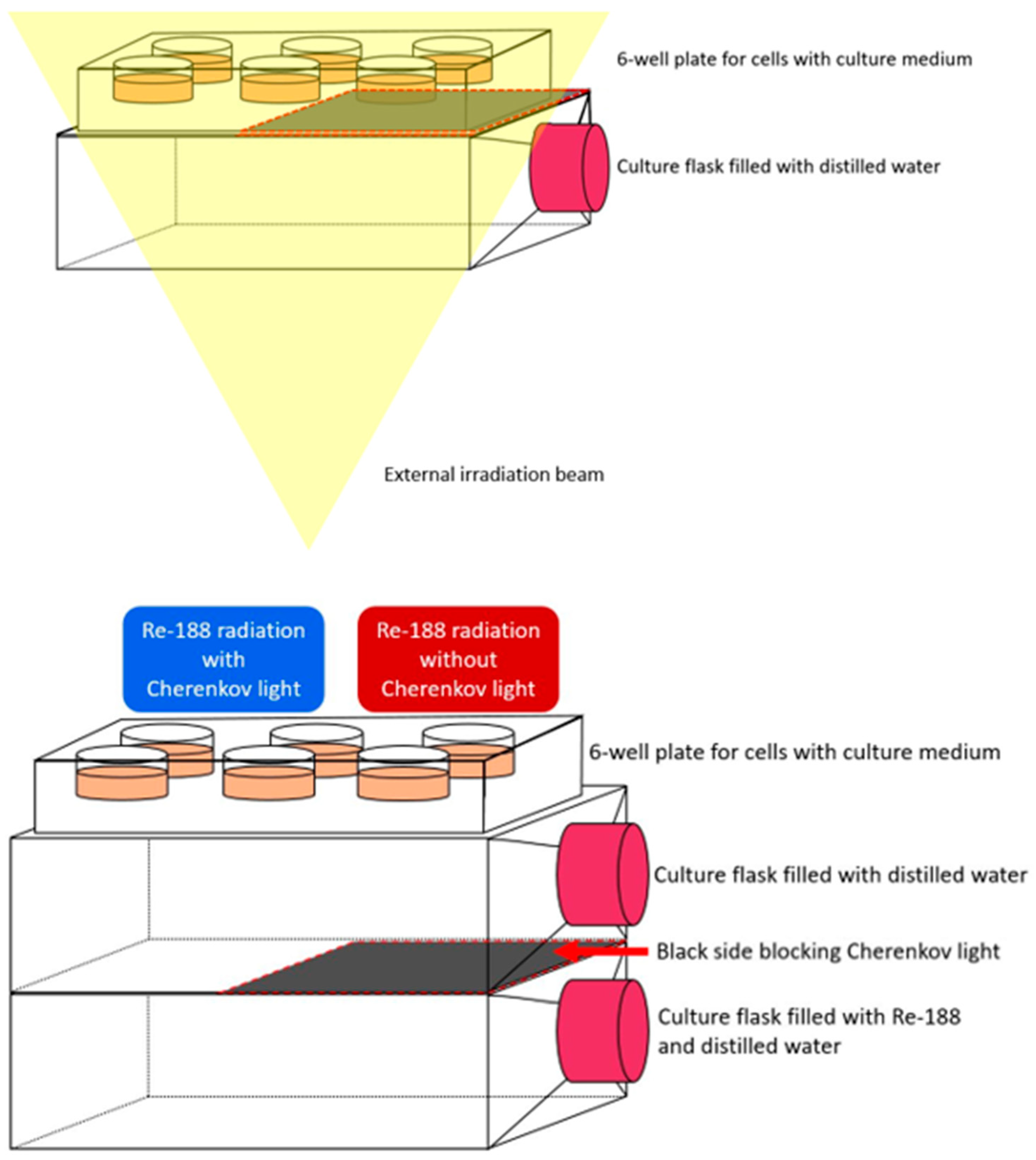 Pharmaceutics 16 00534 g002