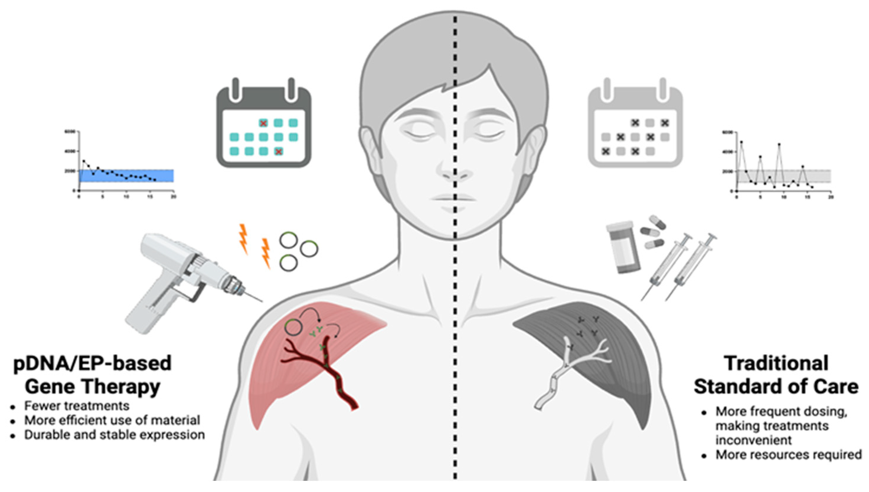 Pharmaceutics 16 00535 g002