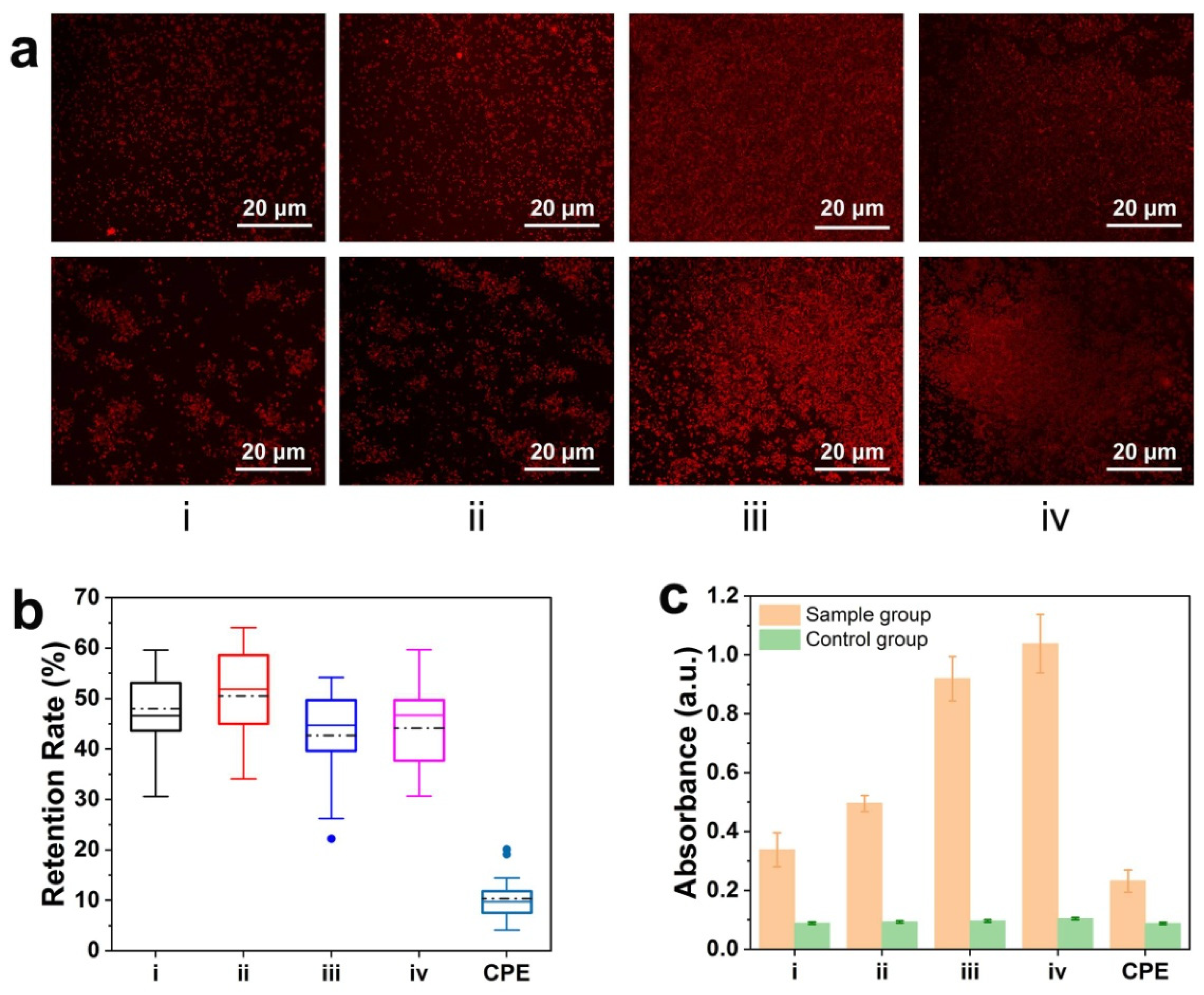 Pharmaceutics 16 00538 g008
