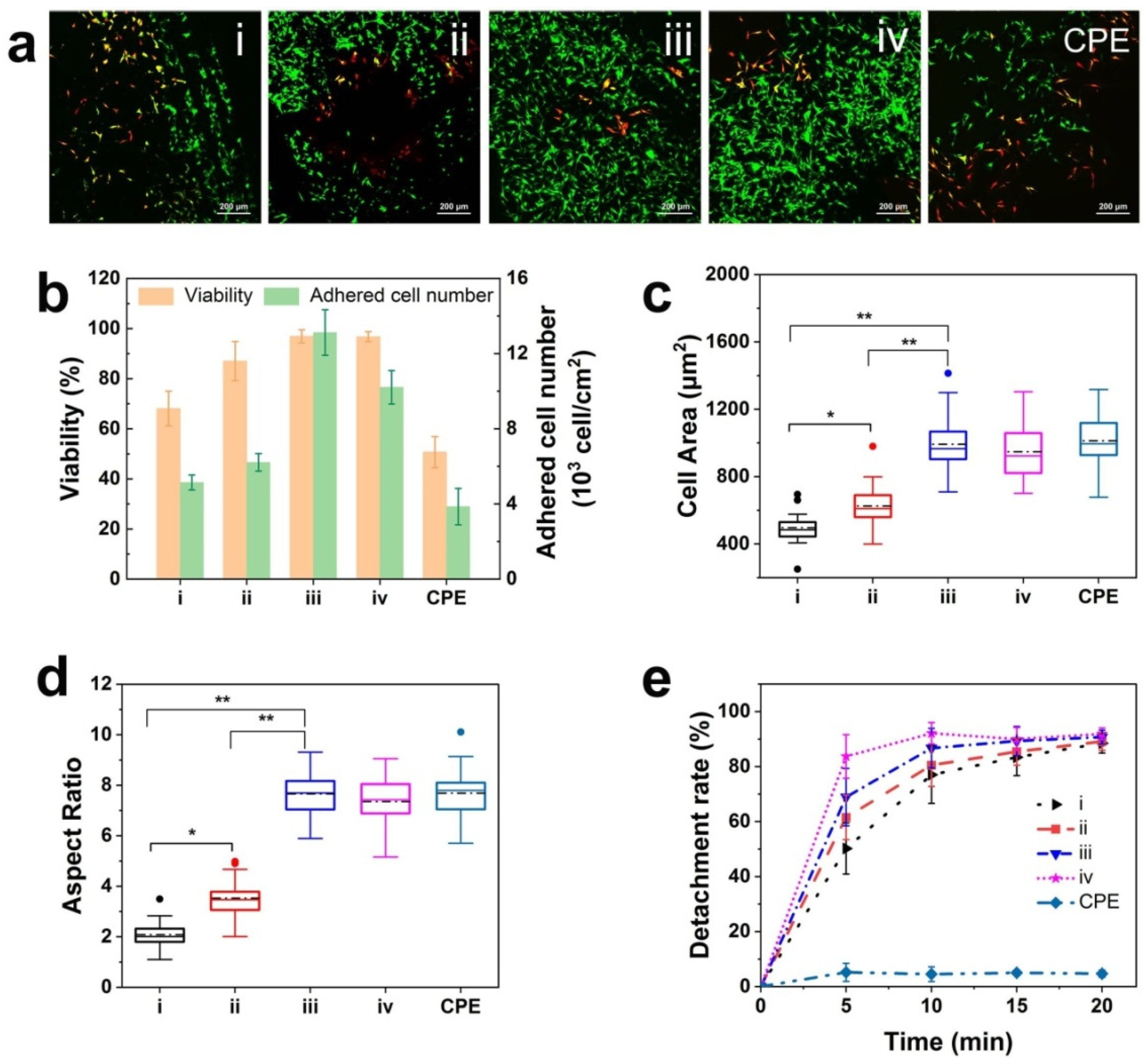 Pharmaceutics 16 00538 g009