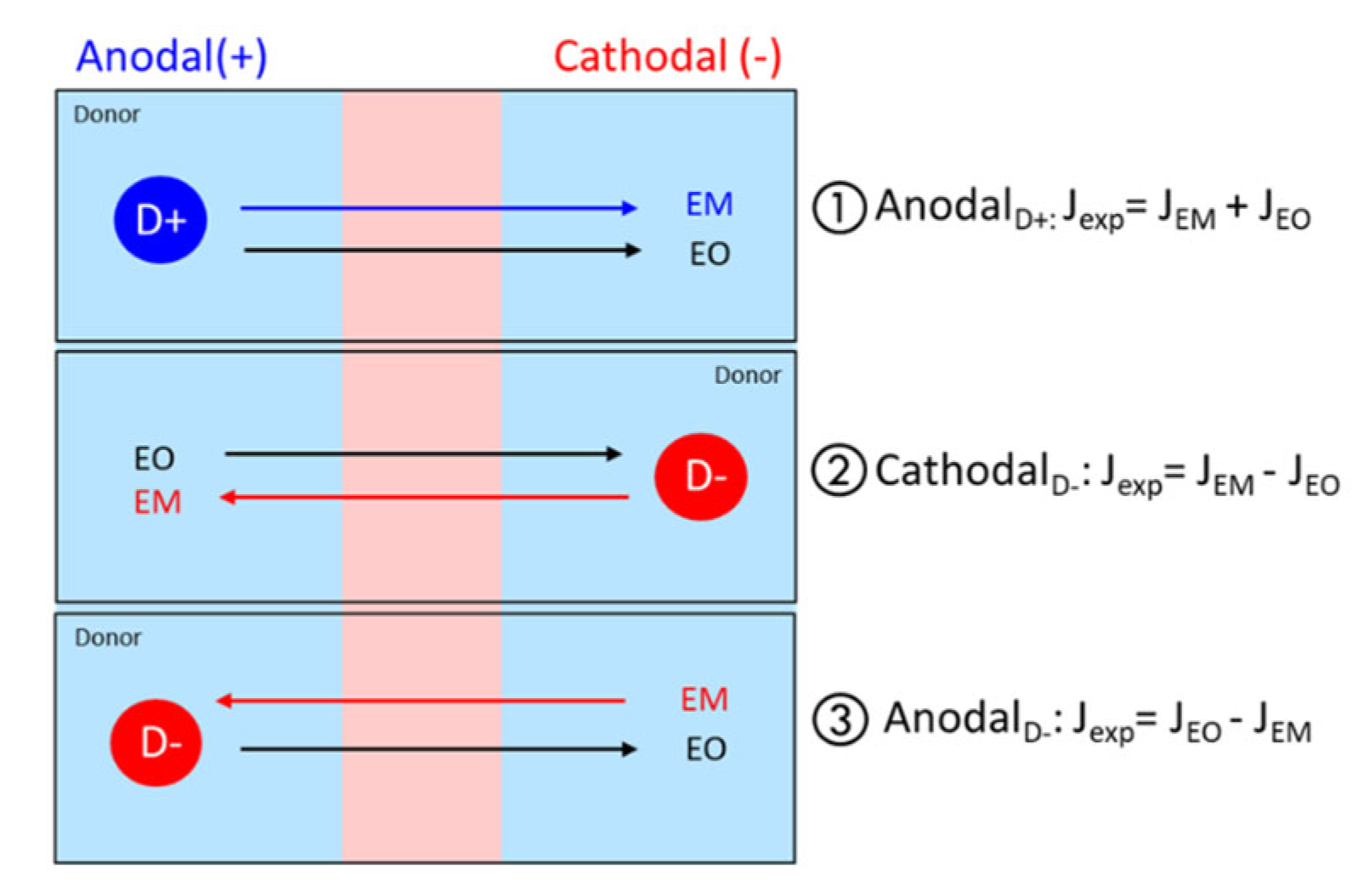 Pharmaceutics 16 00539 g001