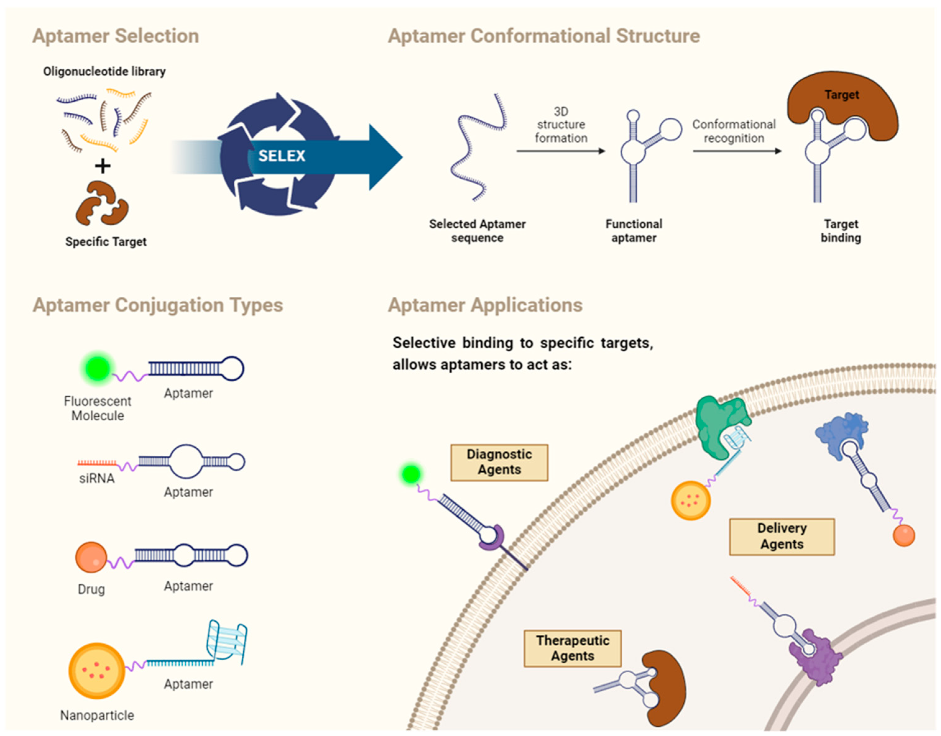 Pharmaceutics 16 00541 g001