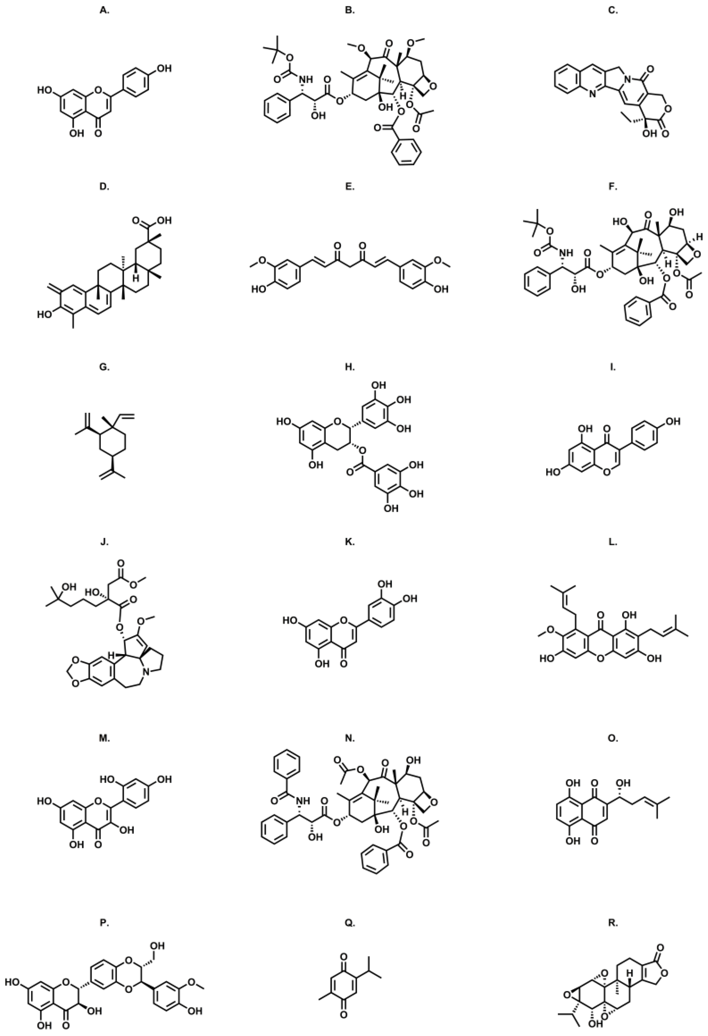Pharmaceutics 16 00541 g002