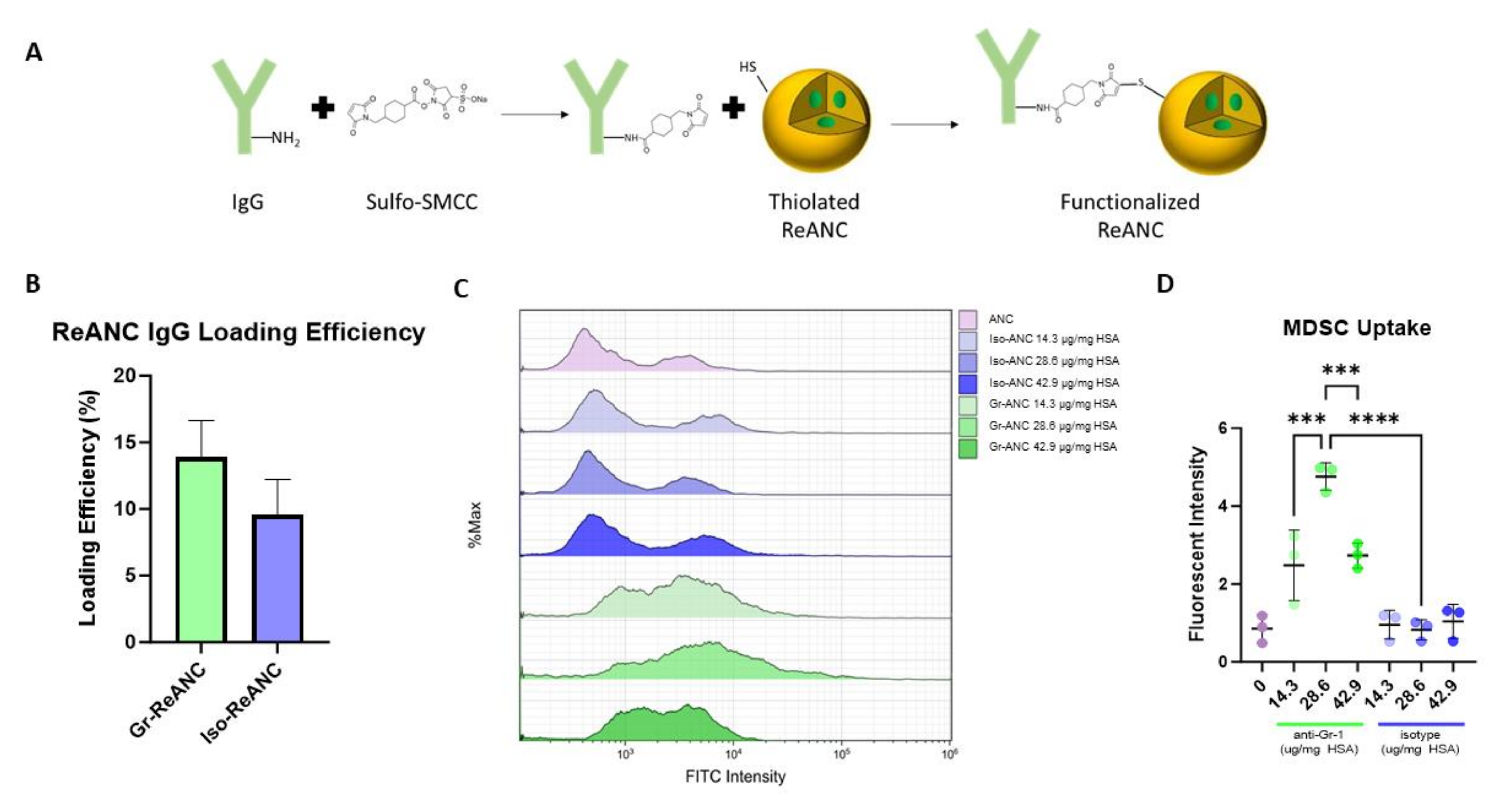 Pharmaceutics 16 00549 g002