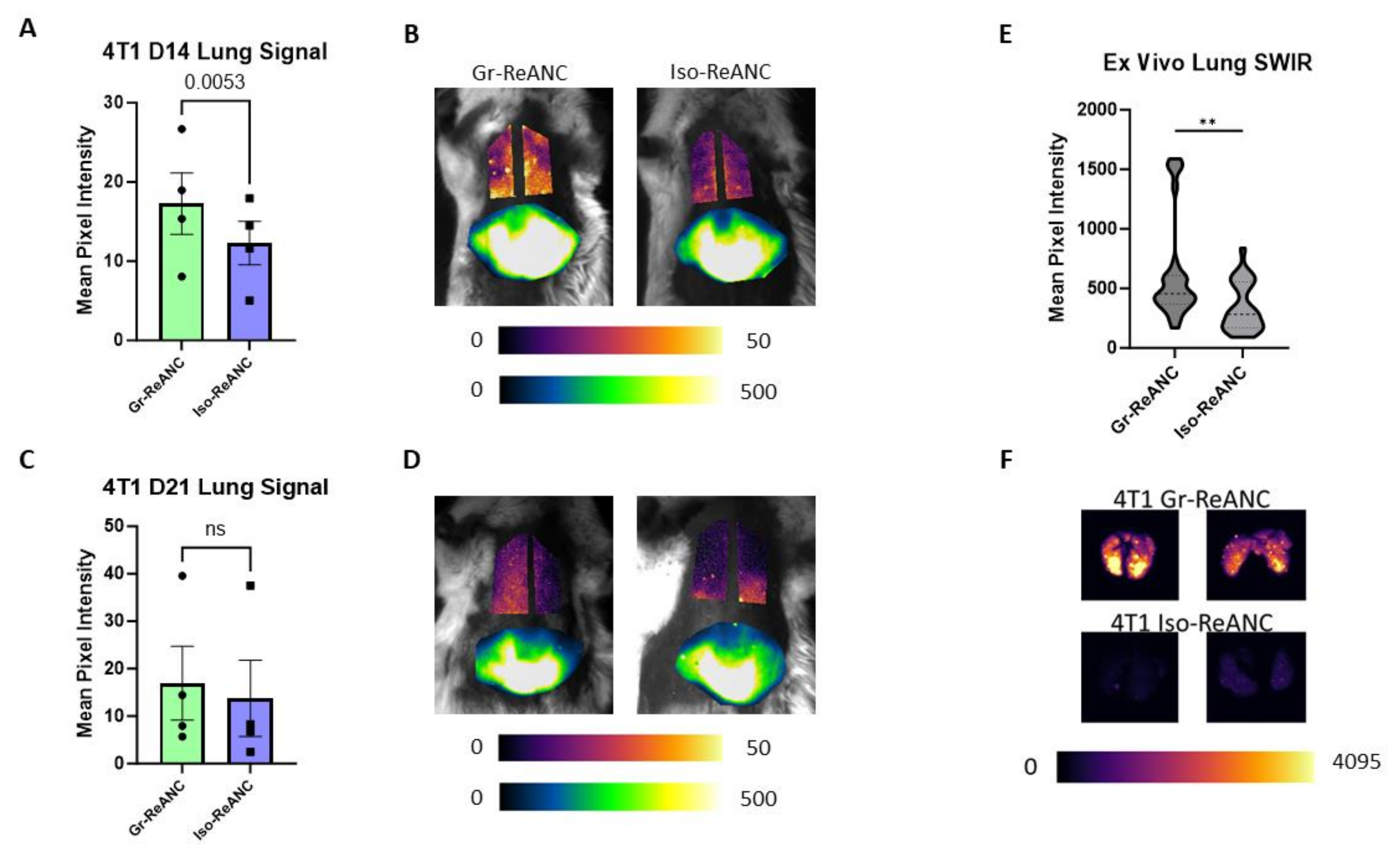 Pharmaceutics 16 00549 g005