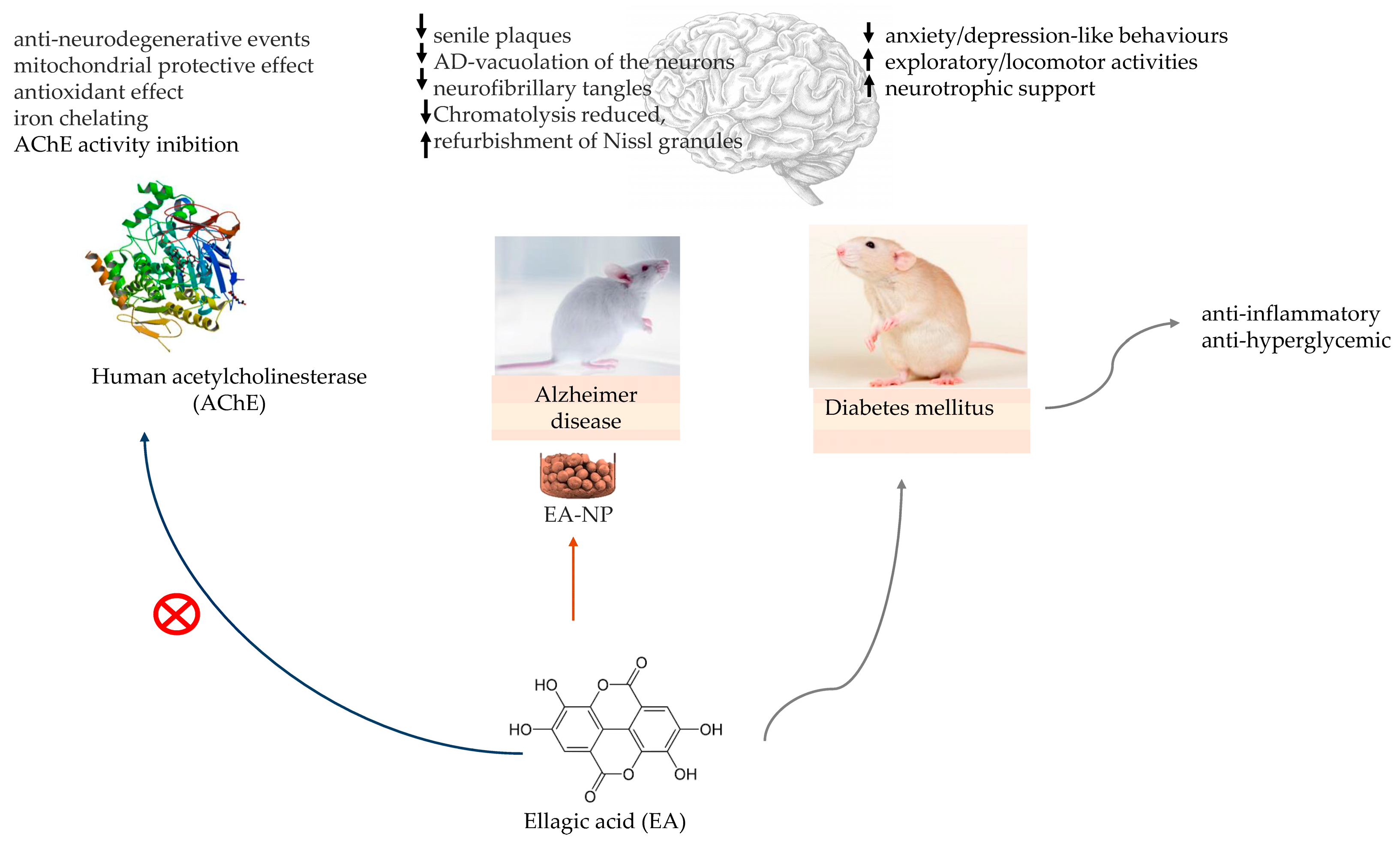 Pharmaceutics 16 00577 g004