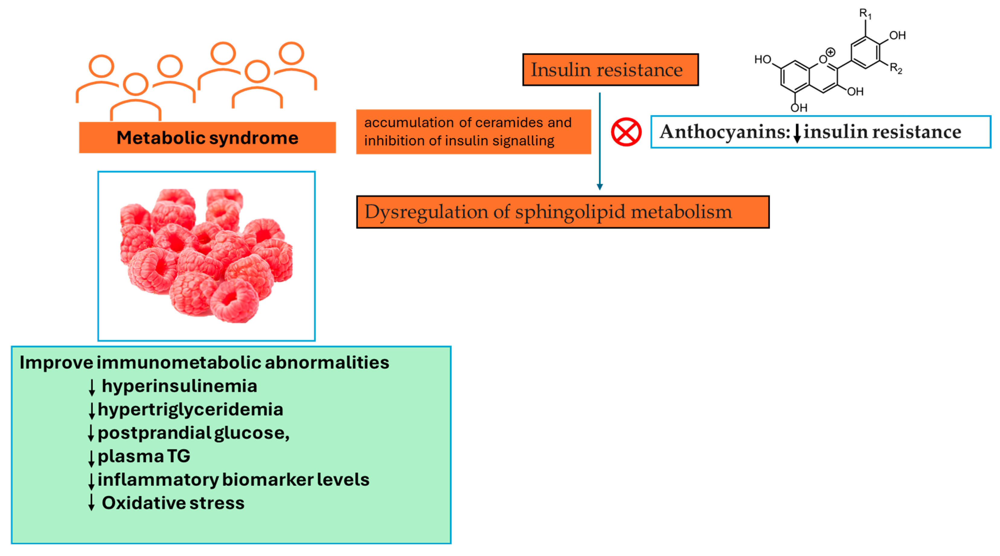 Pharmaceutics 16 00577 g005