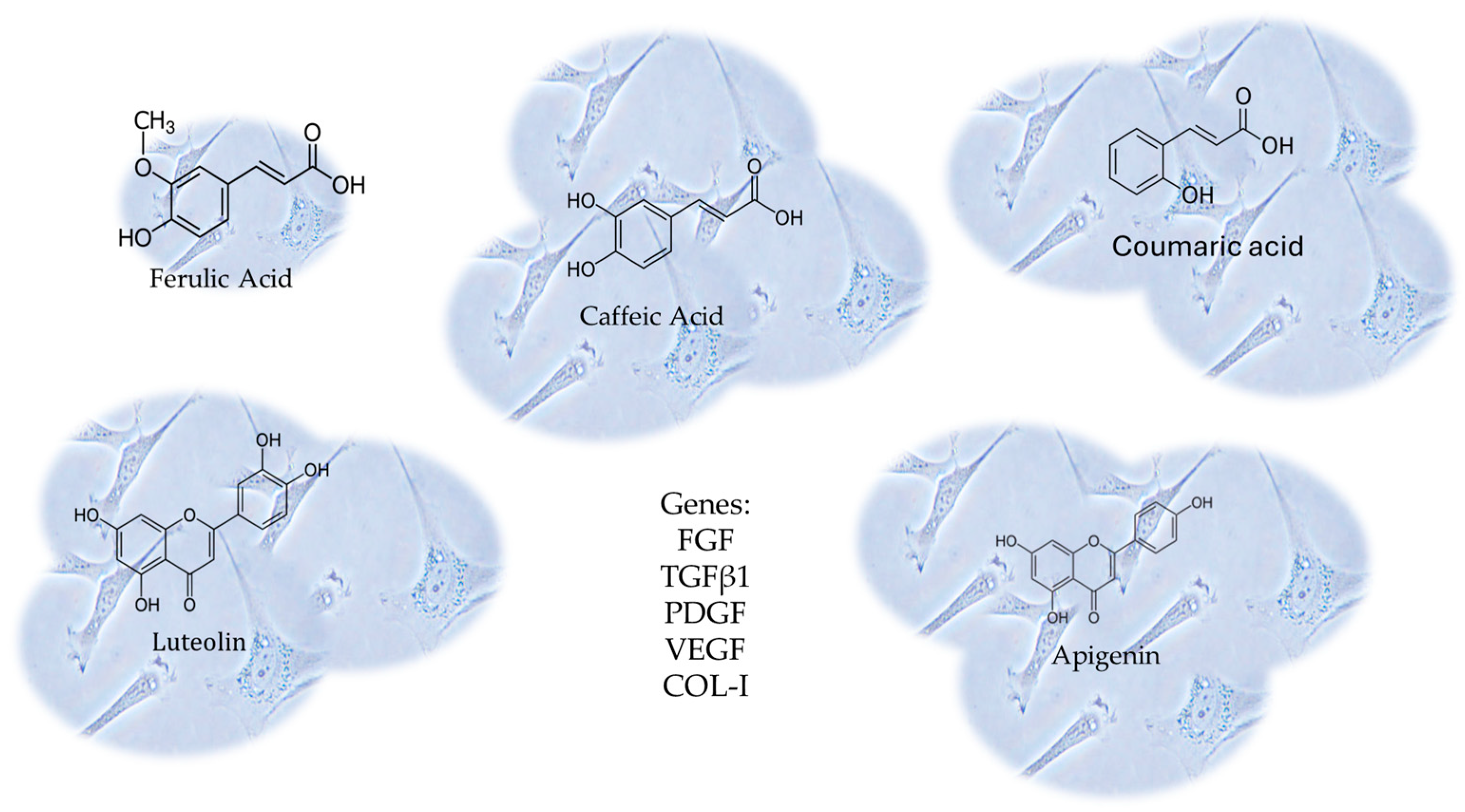 Pharmaceutics 16 00577 g008