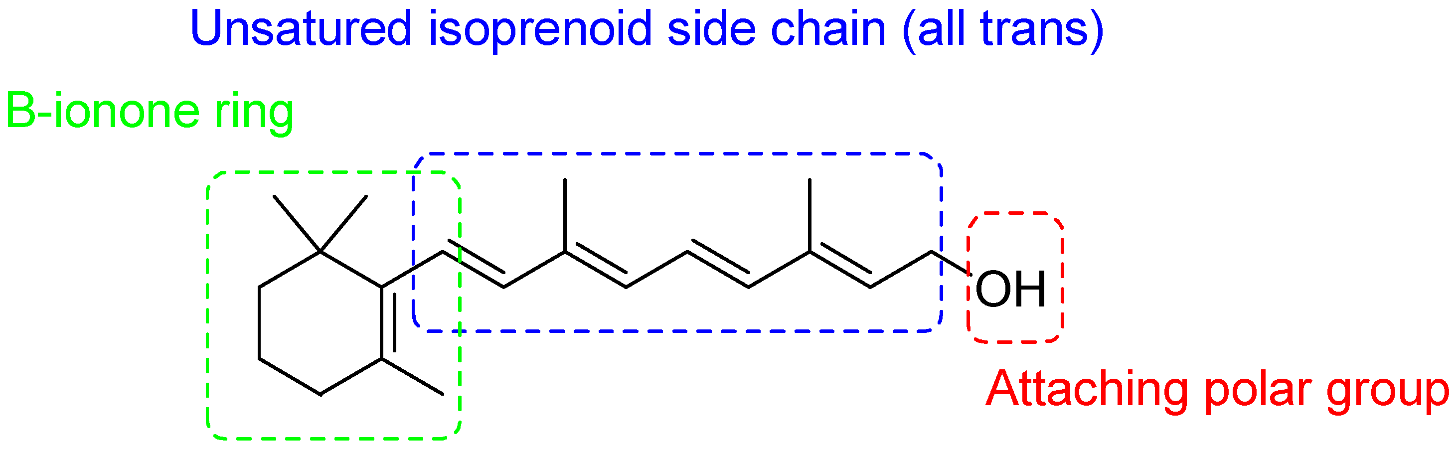 Pharmaceutics 16 00579 g003 Pharmaceutics 16 00579 g003