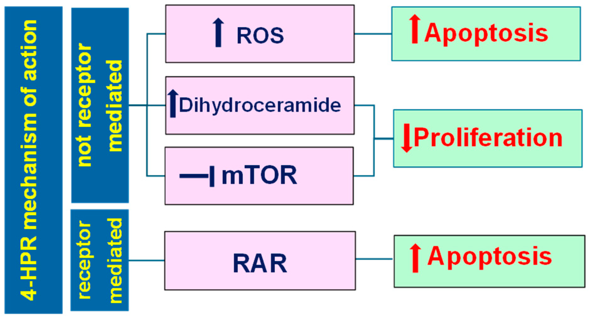 Pharmaceutics 16 00579 g008 Pharmaceutics 16 00579 g008