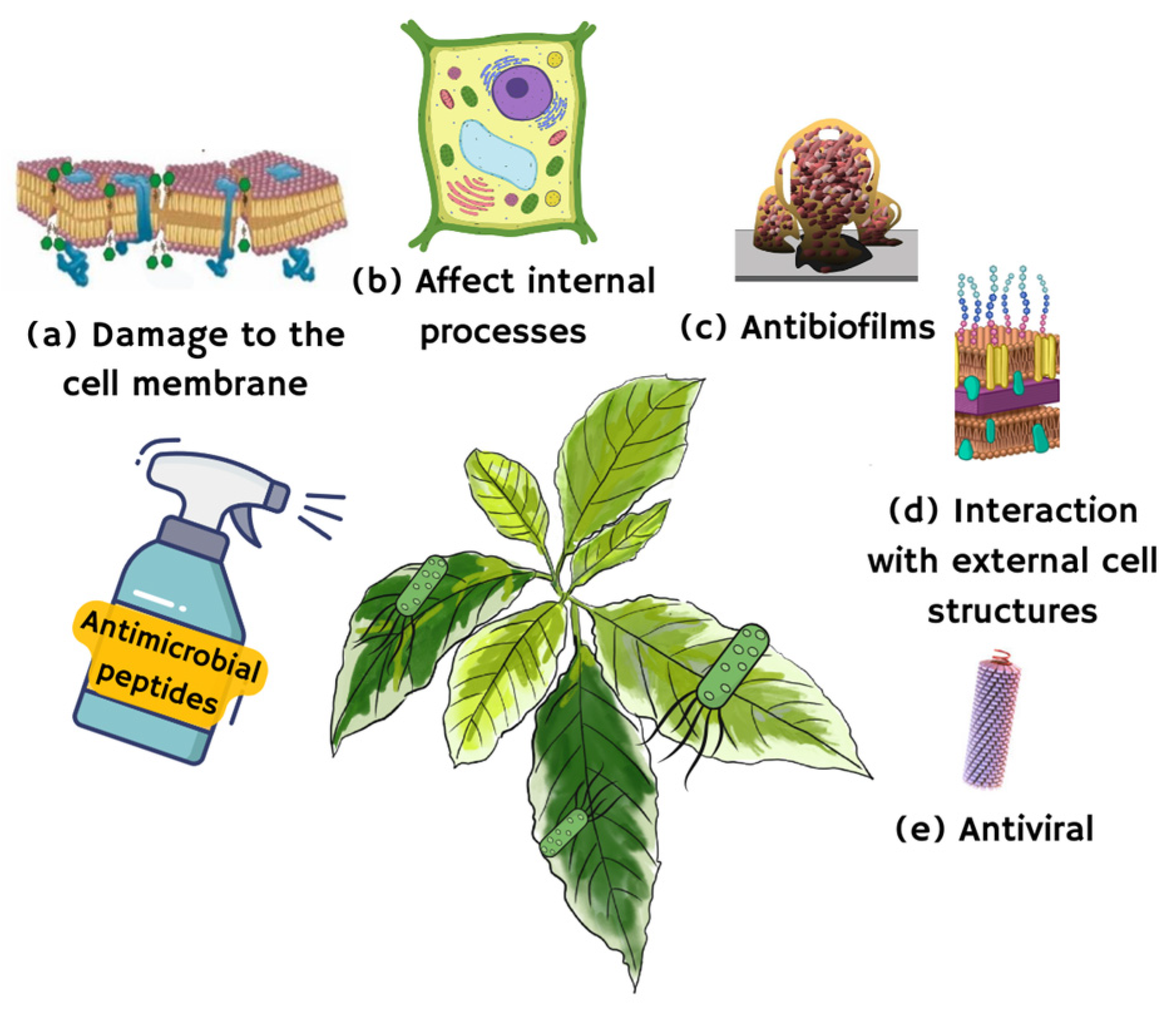 Pharmaceutics 16 00582 g003