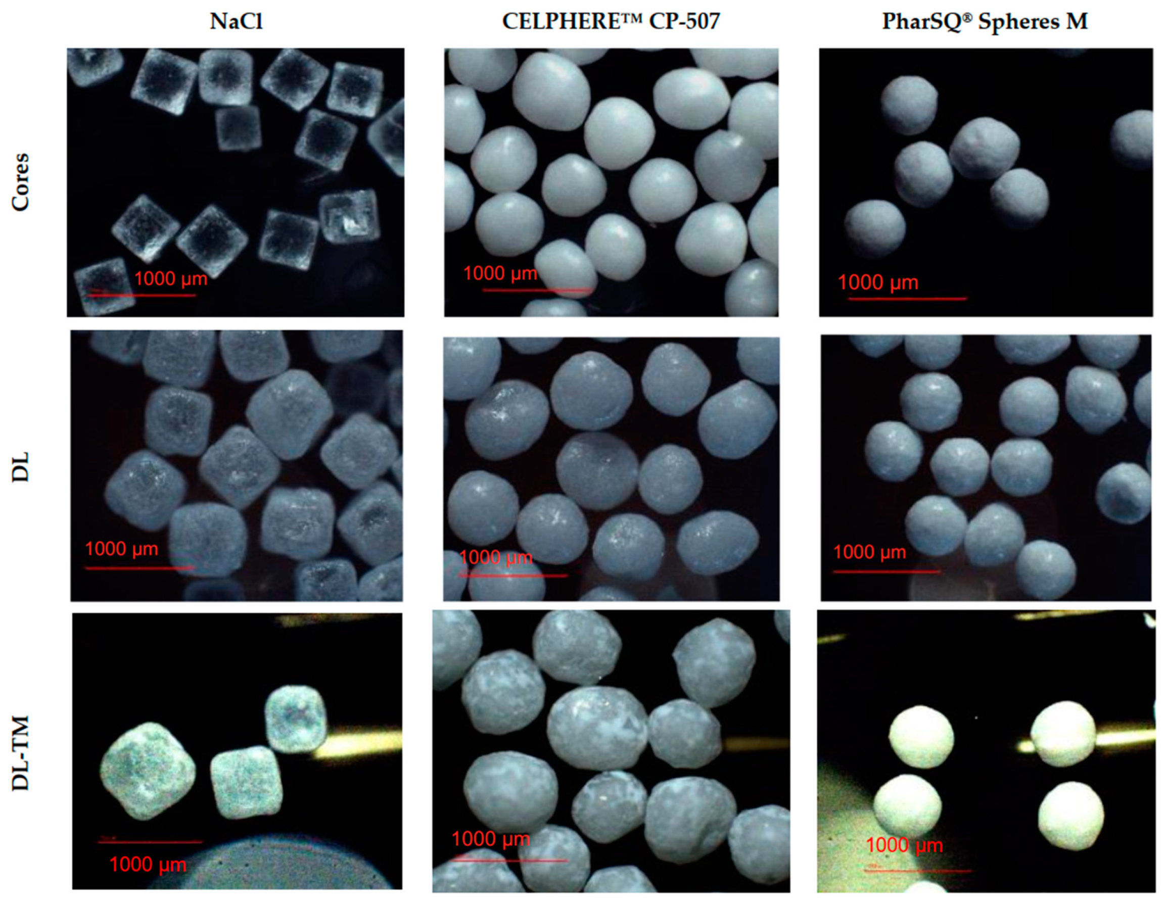 Pharmaceutics 16 00586 g003
