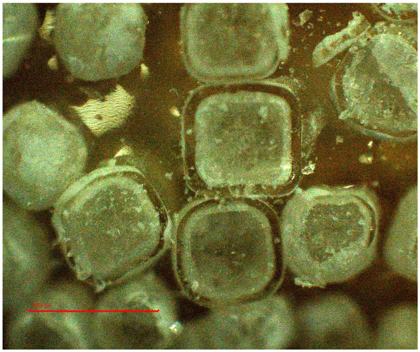 Pharmaceutics 16 00586 g004