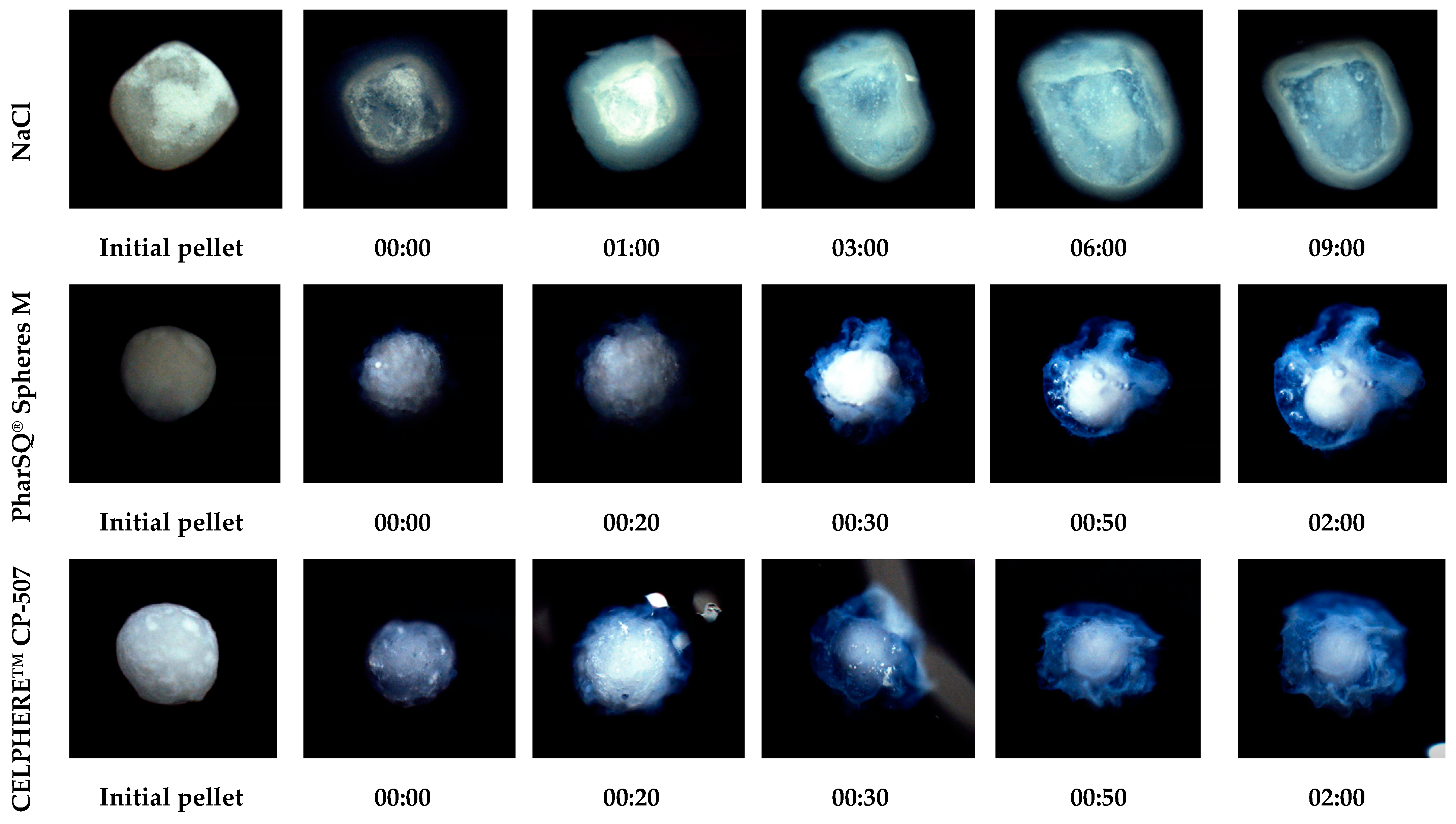 Pharmaceutics 16 00586 g008