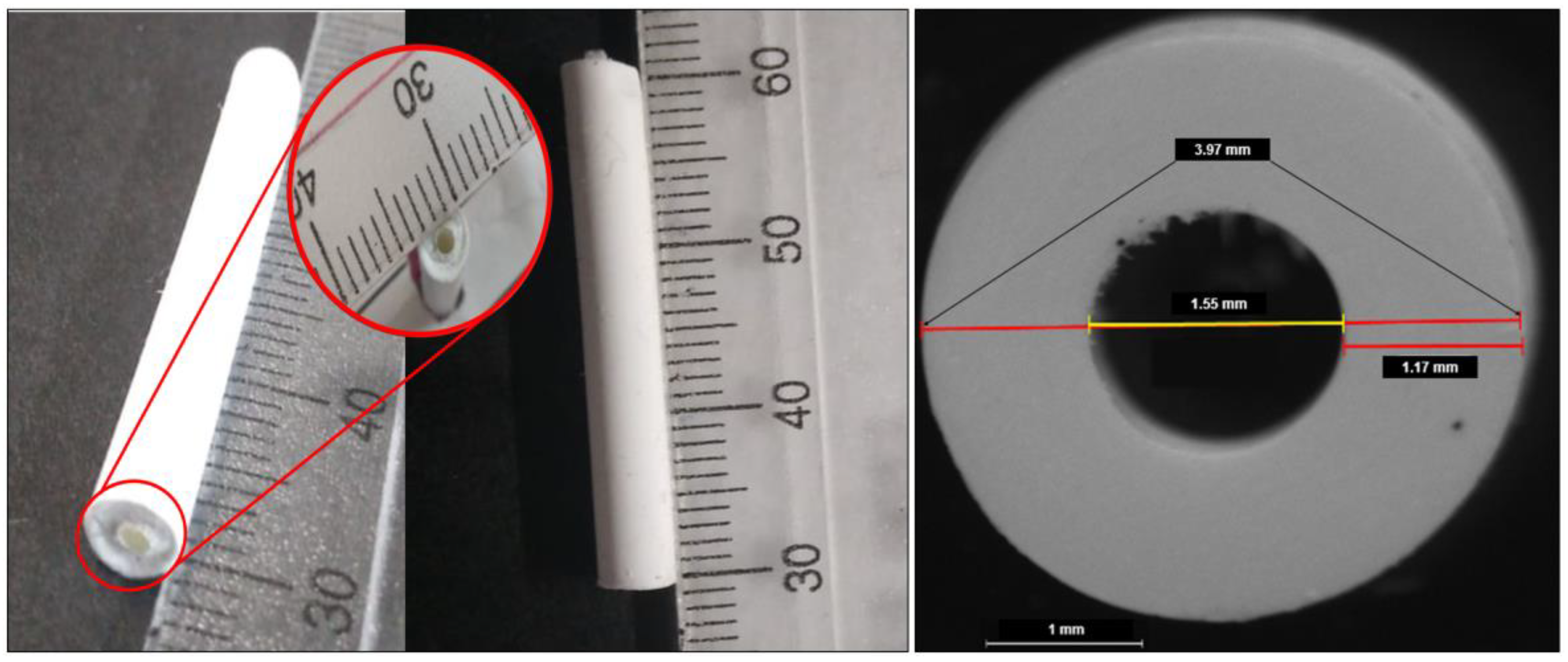 Pharmaceutics 16 00587 g003