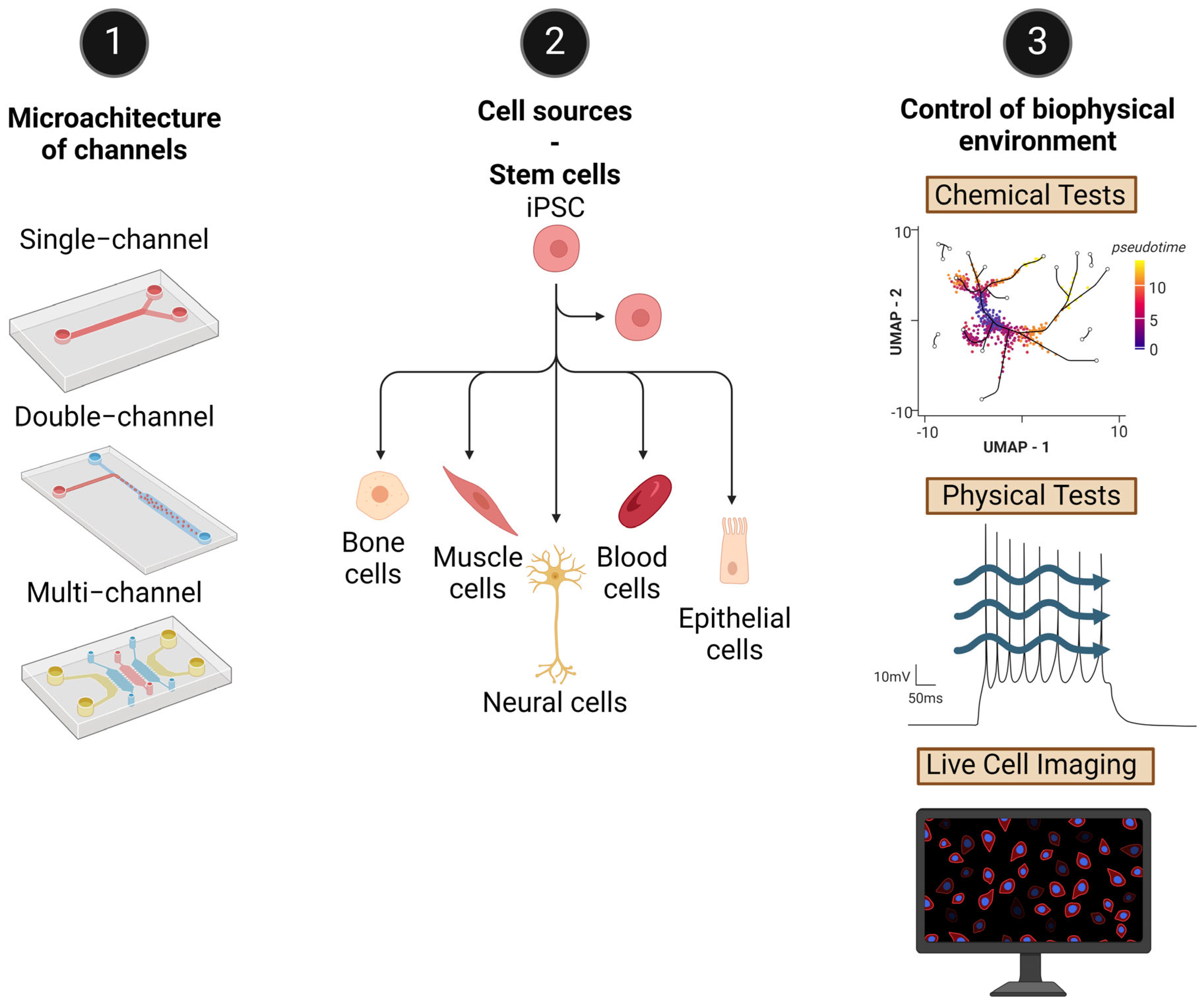 Pharmaceutics 16 00615 g004