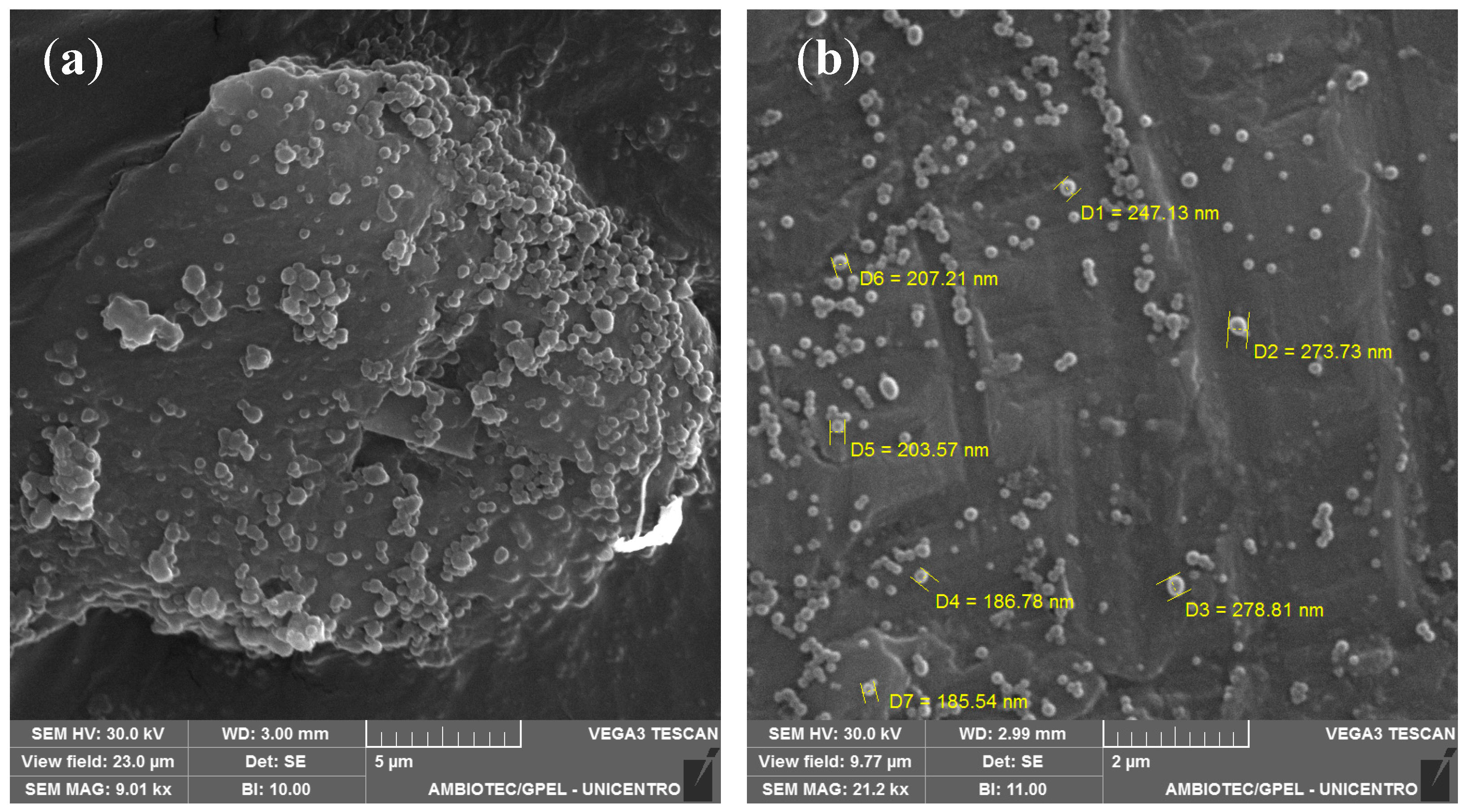 Pharmaceutics 16 00634 g001