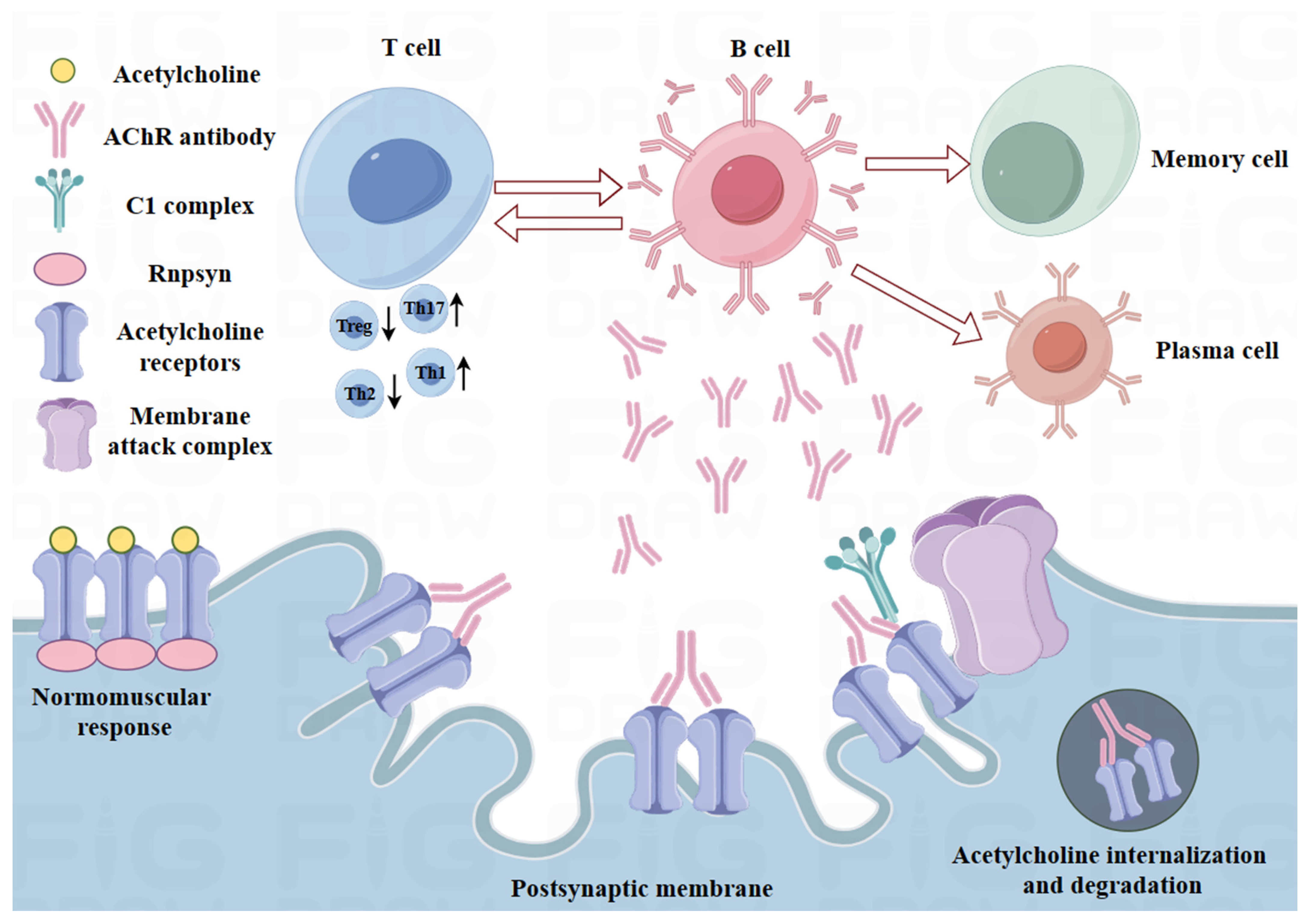 Pharmaceutics 16 00651 g001