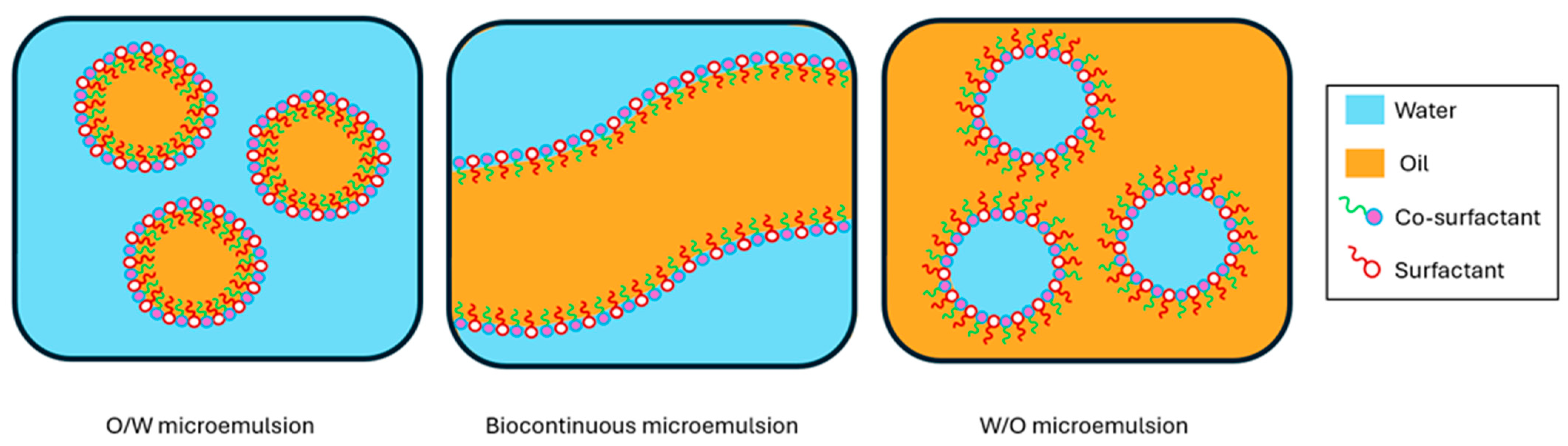 Pharmaceutics 16 00675 g003
