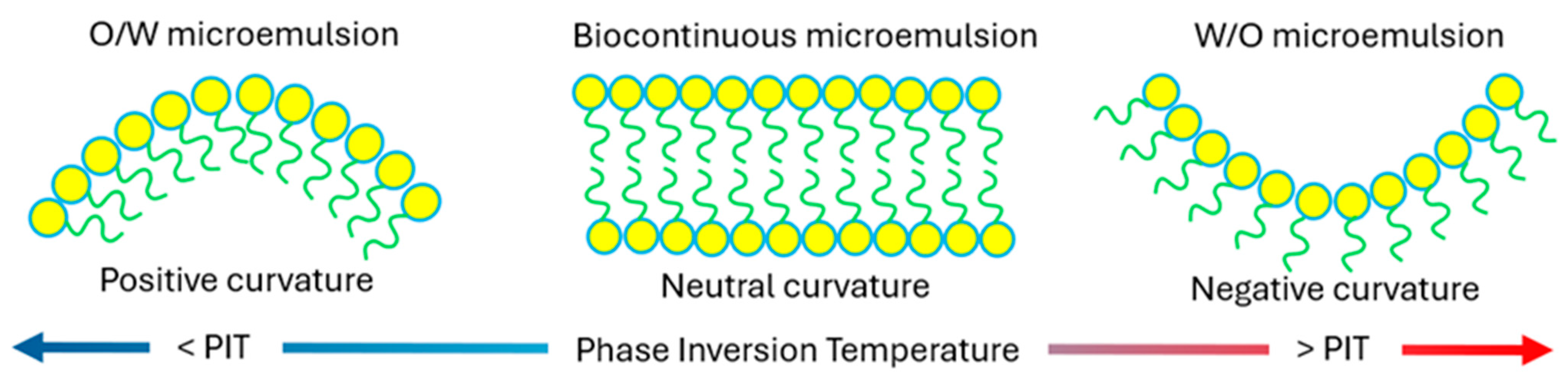 Pharmaceutics 16 00675 g005