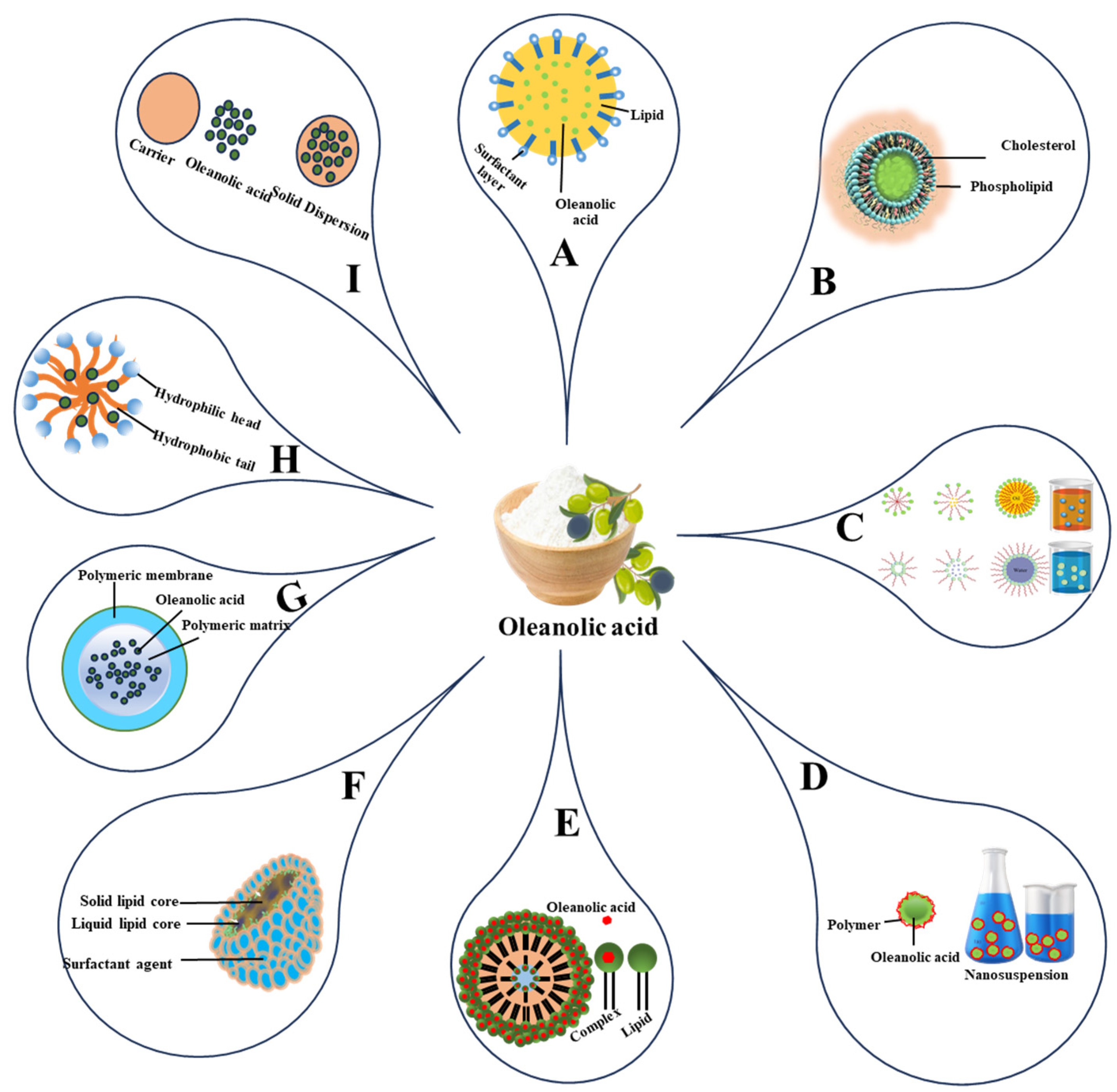 Pharmaceutics 16 00692 g003