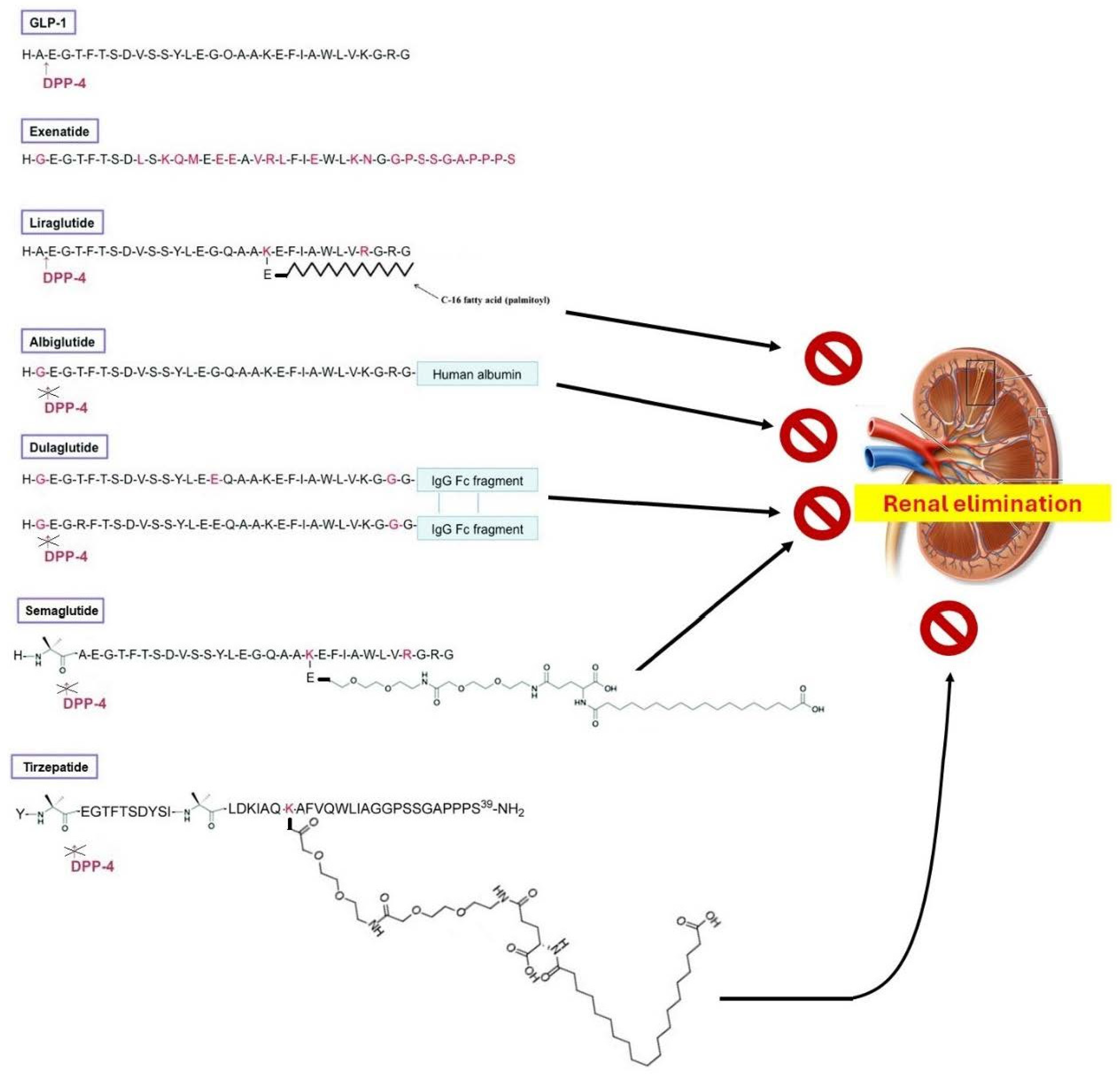 Pharmaceutics 16 00693 g001 Pharmaceutics 16 00693 g001