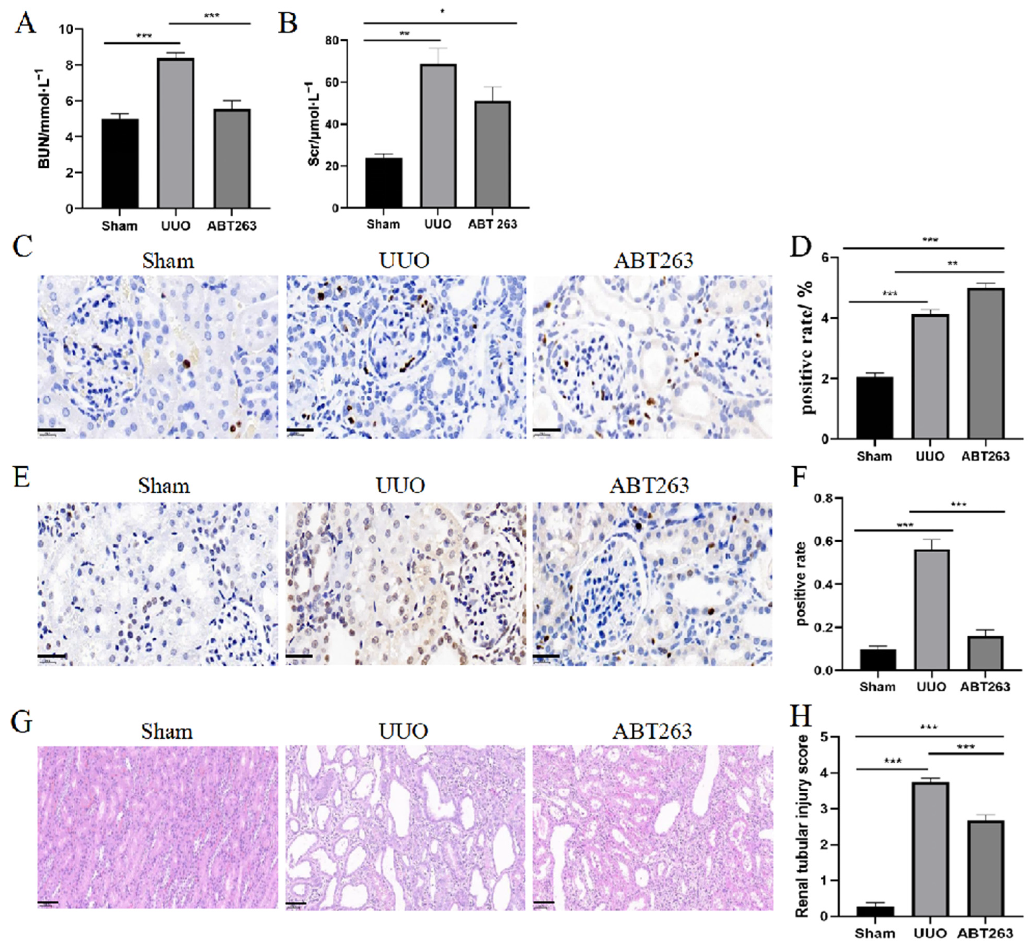 Pharmaceutics 16 00695 g006