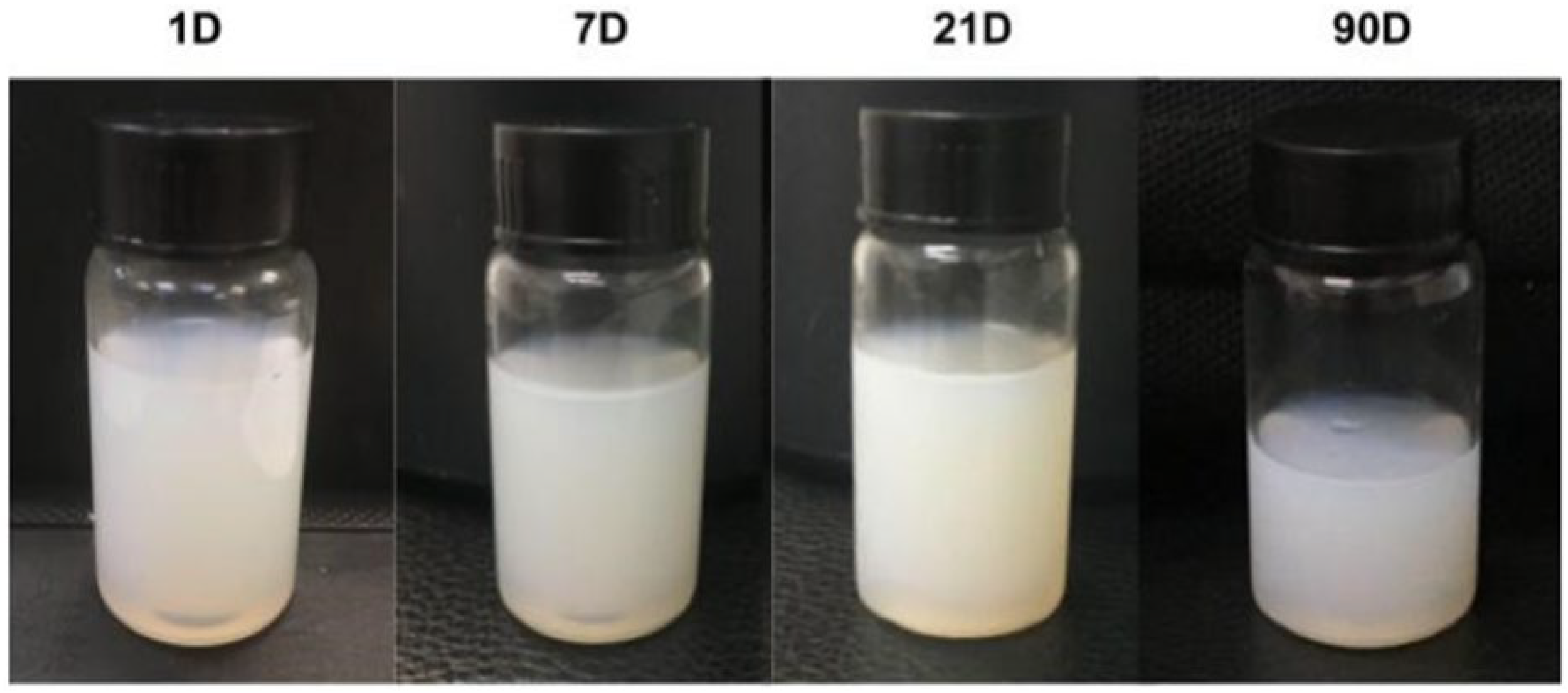 Pharmaceutics 16 00698 g001