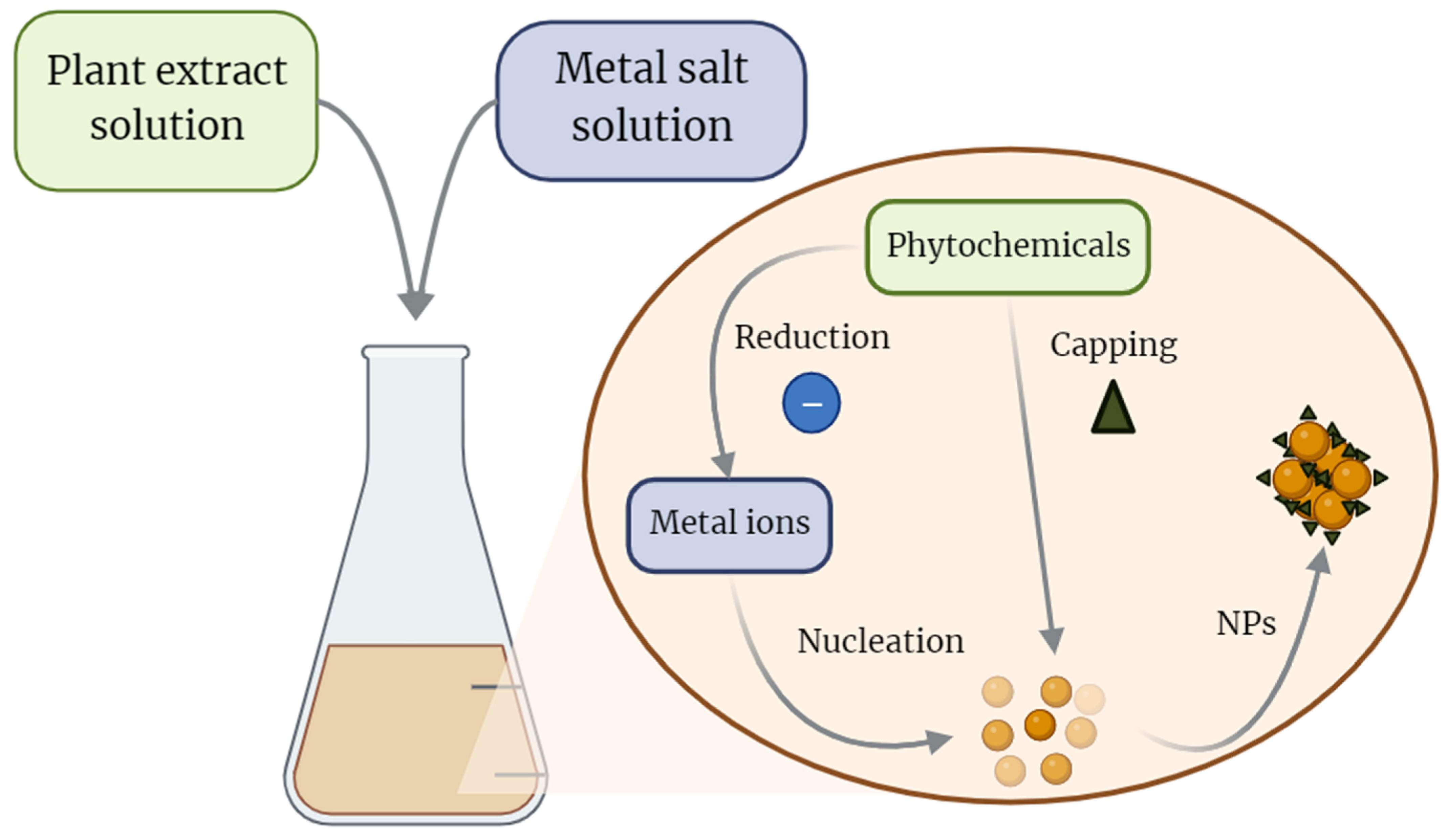 Pharmaceutics 16 00699 g001