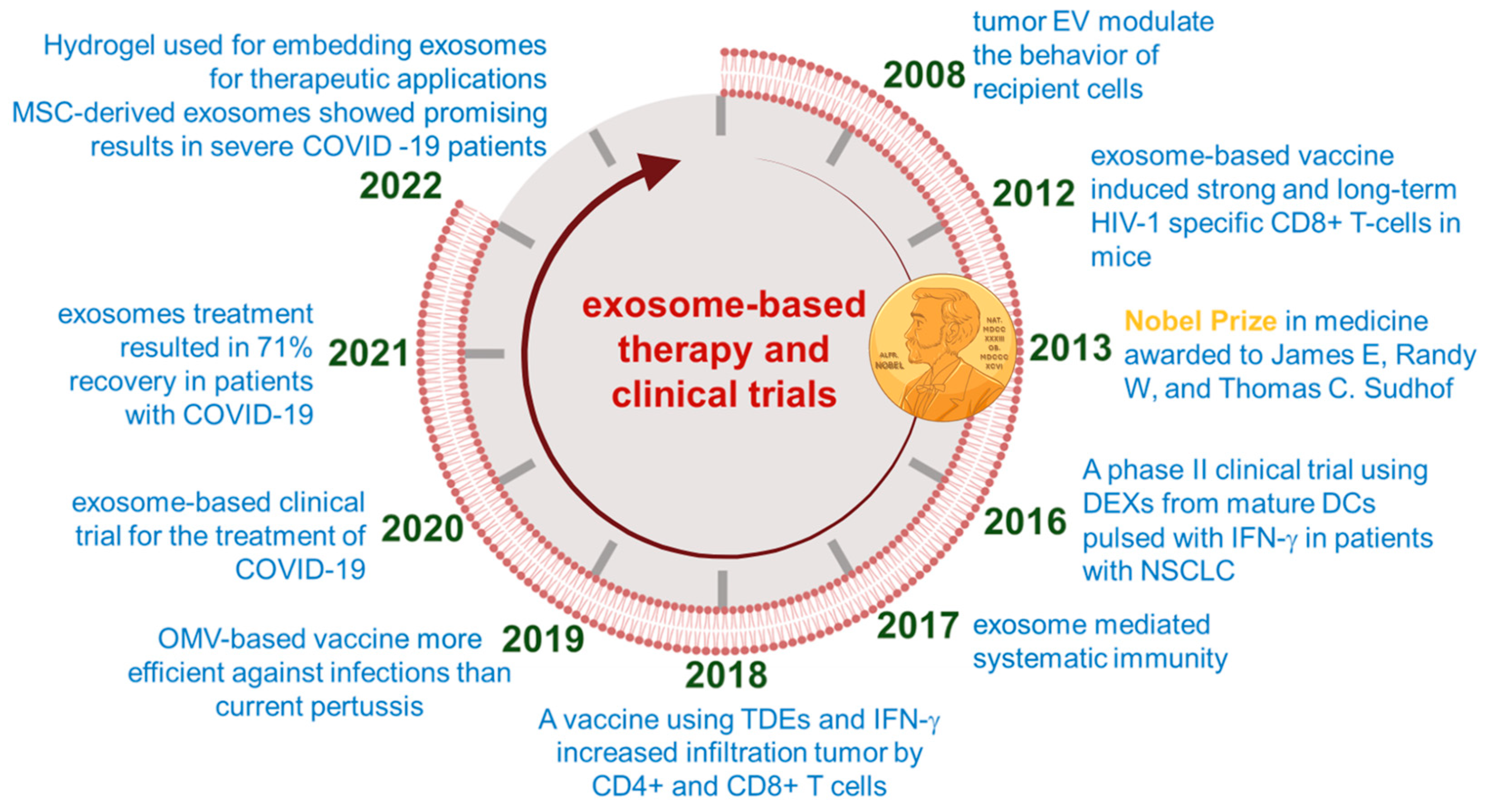 Pharmaceutics 16 00709 g003