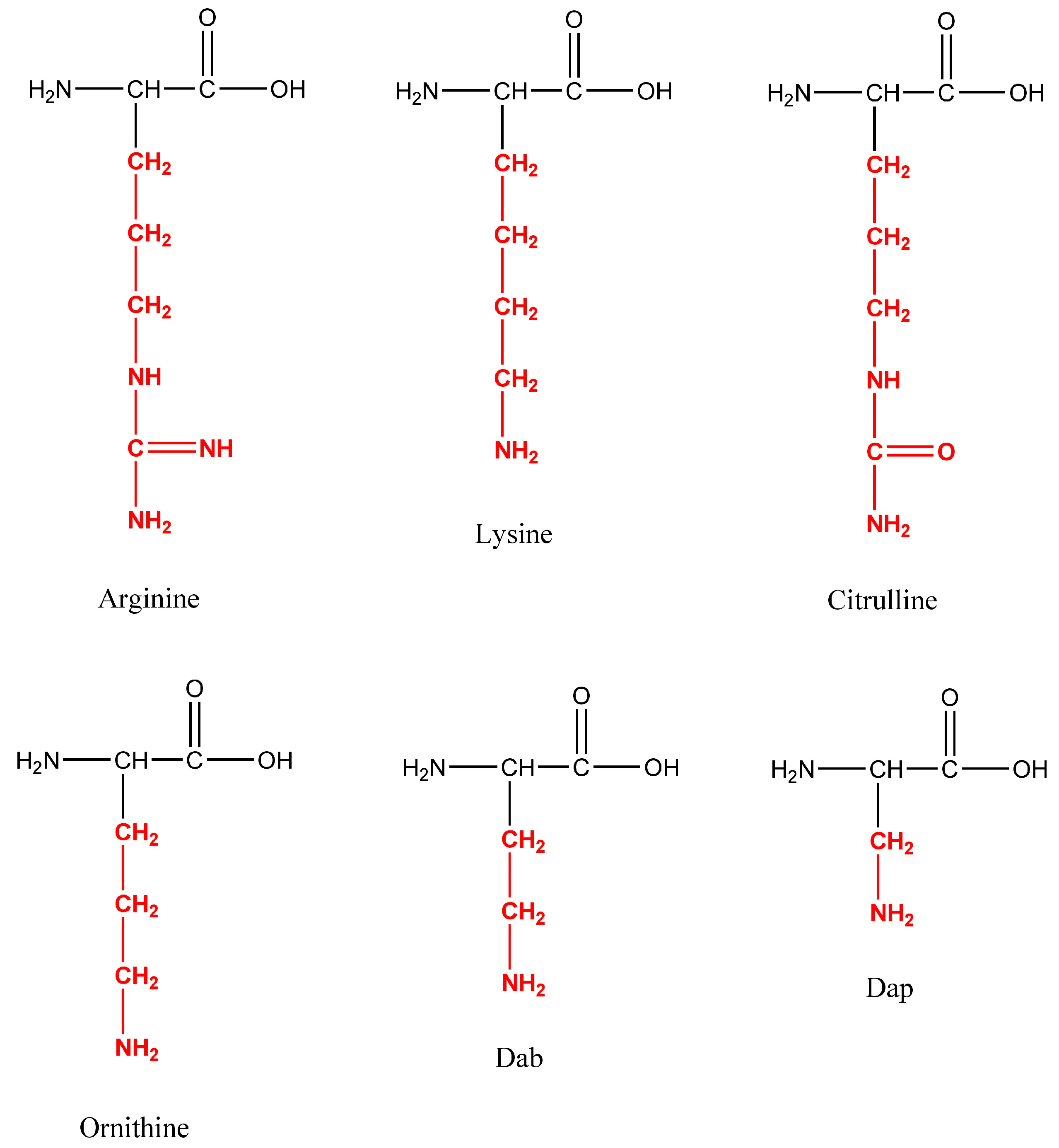 Pharmaceutics 16 00716 g001