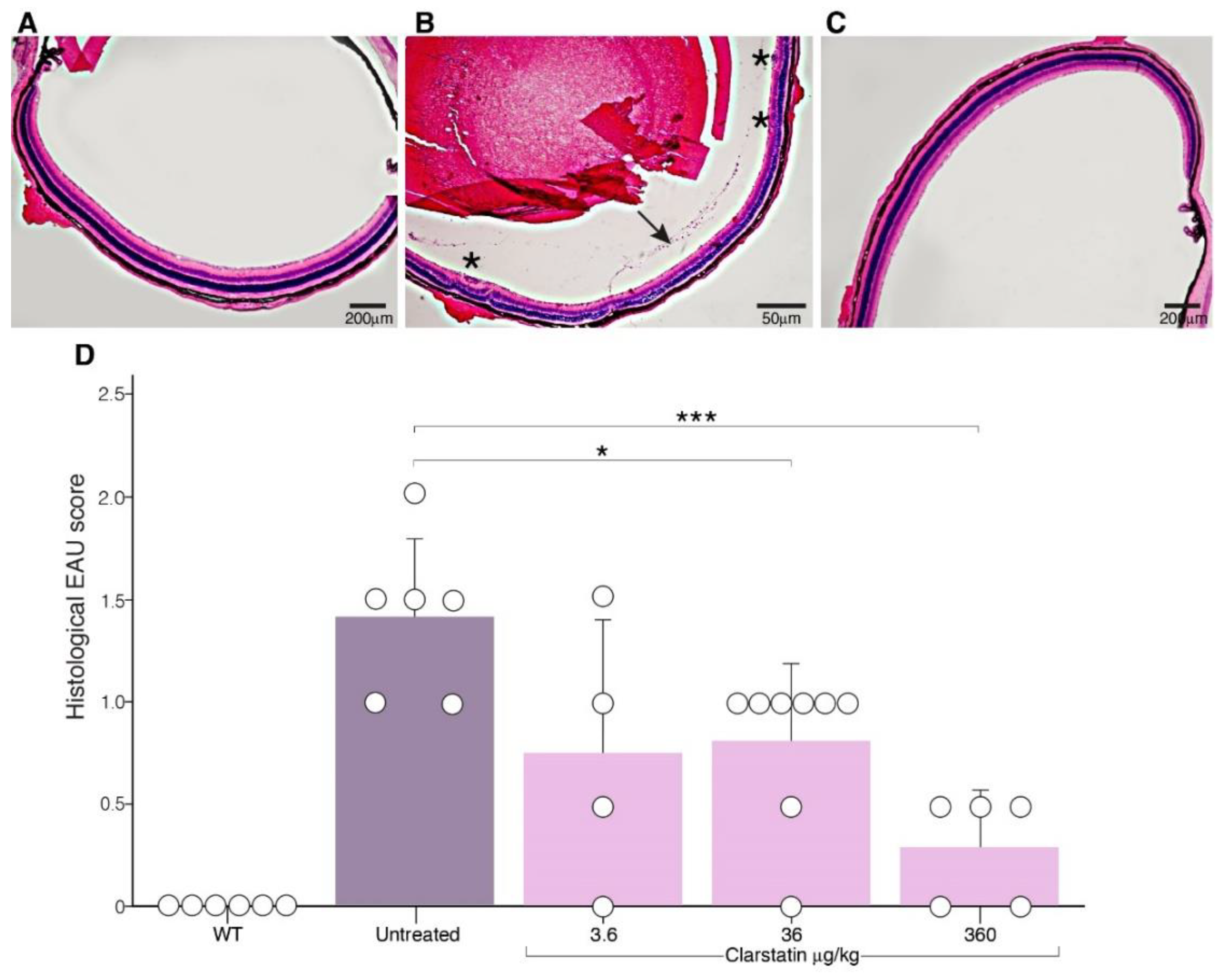 Pharmaceutics 16 00723 g005
