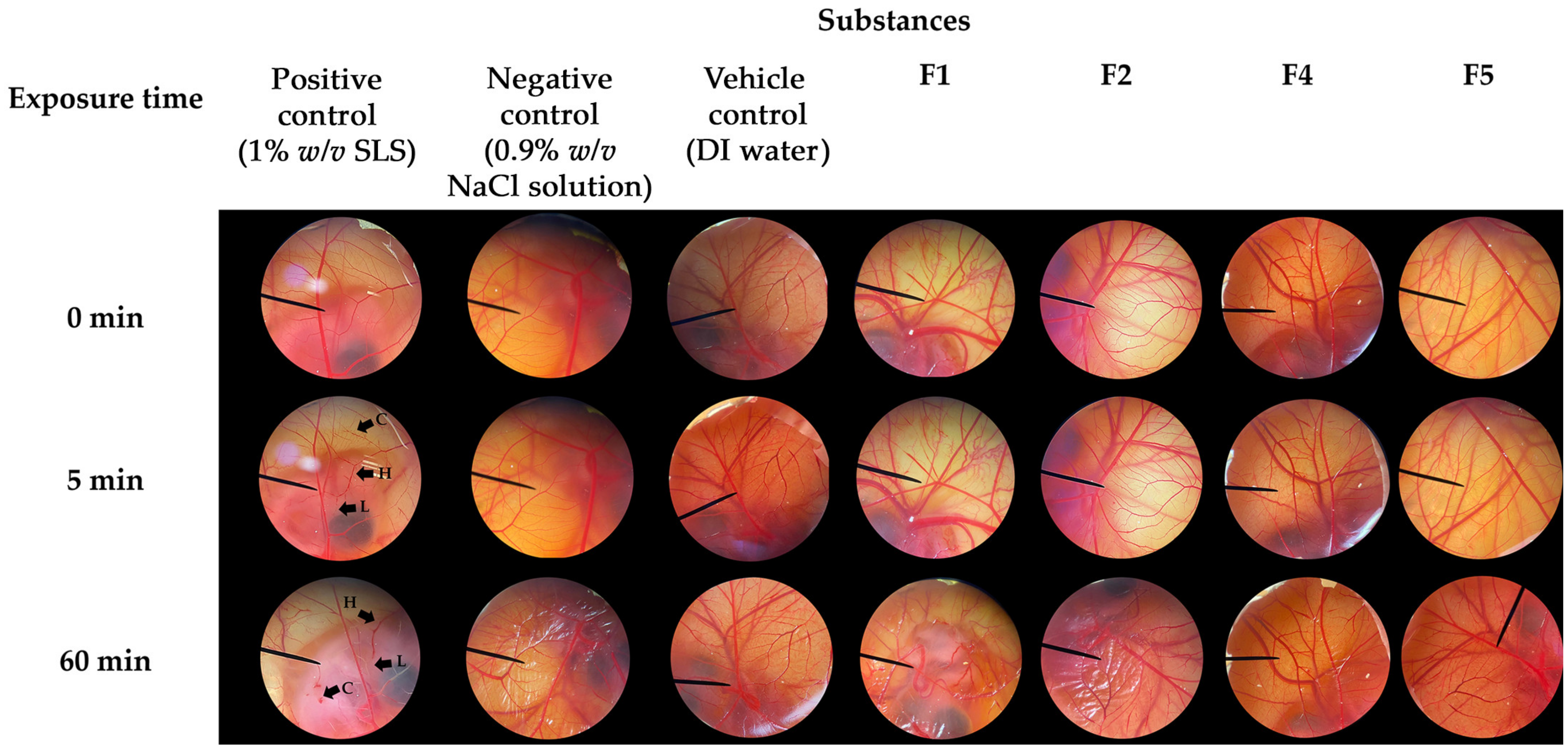 Pharmaceutics 16 00724 g008